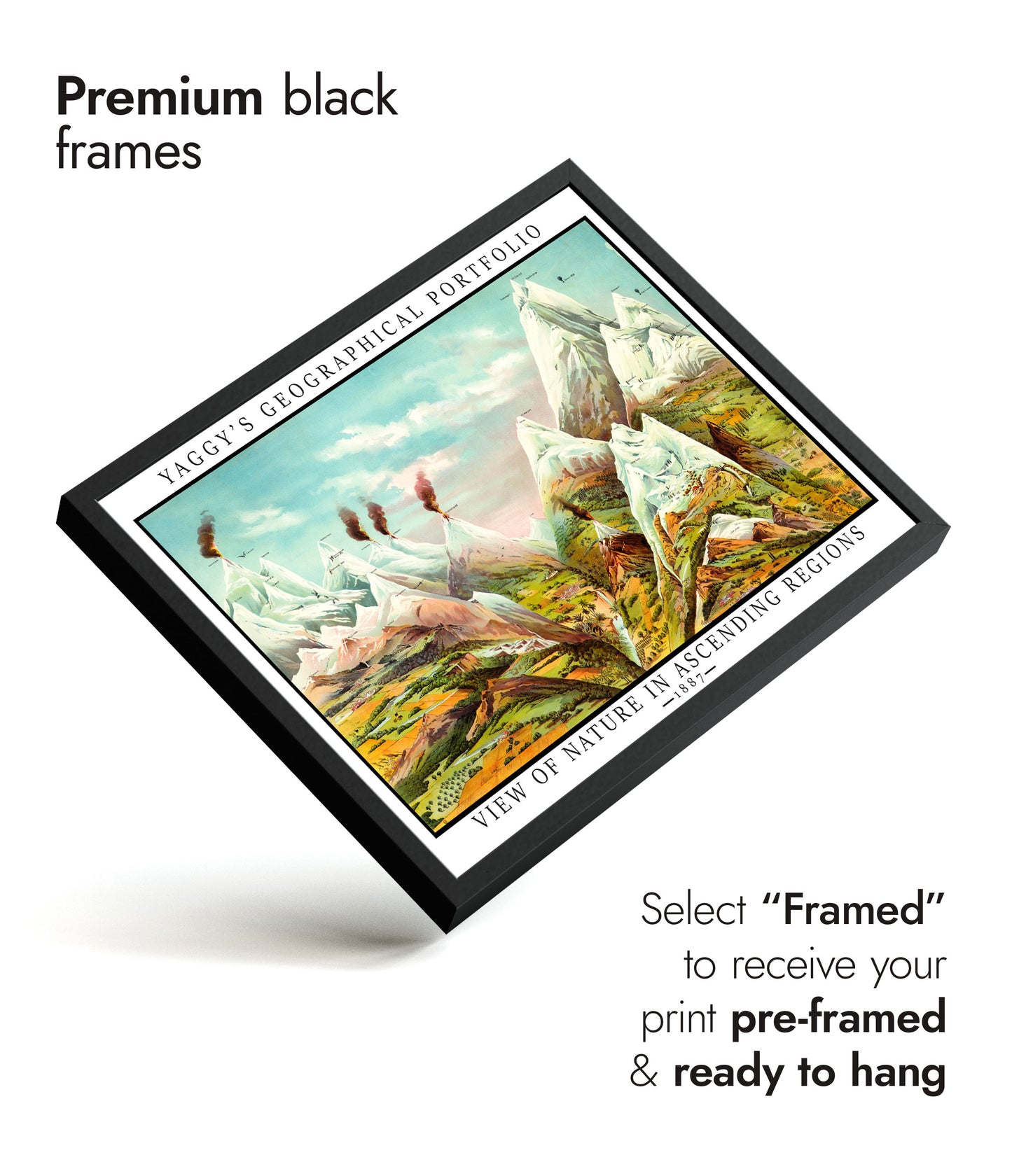 Natur in aufsteigenden Regionen