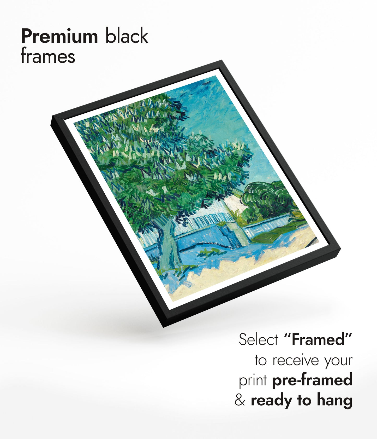 Blossoming Chestnut Trees