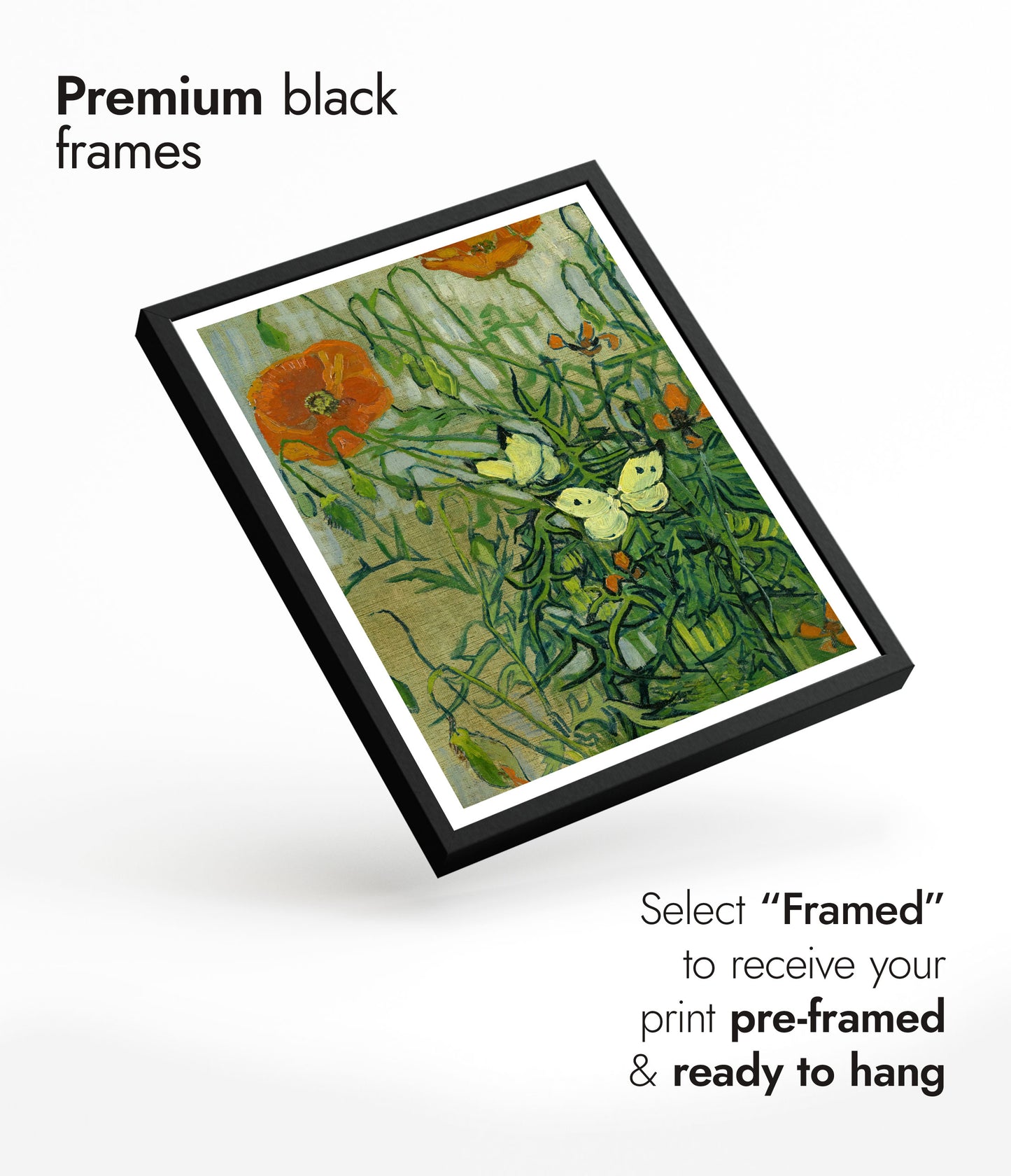 Vlinders en Klaprozen