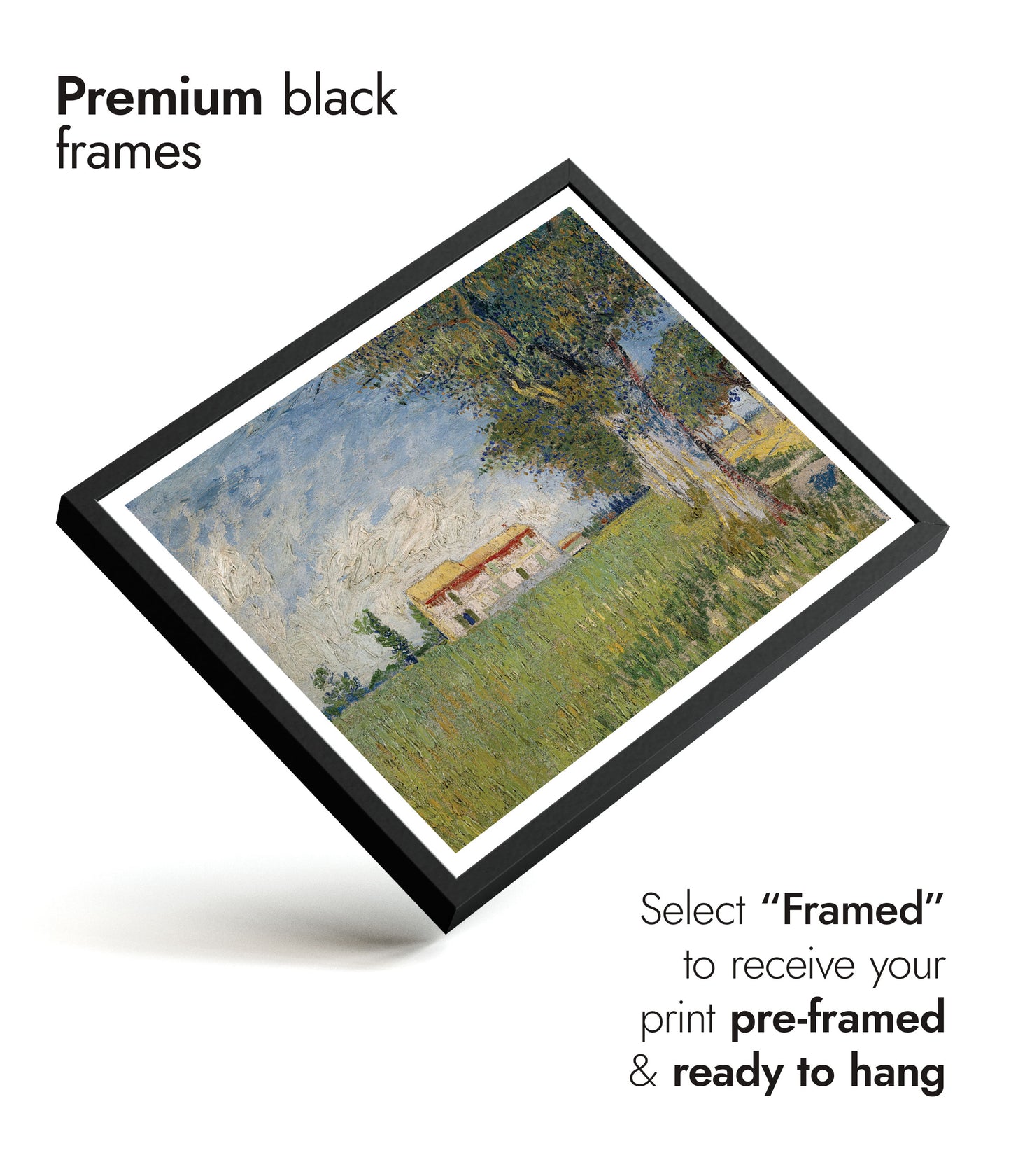 Farmhouse in a Wheatfield