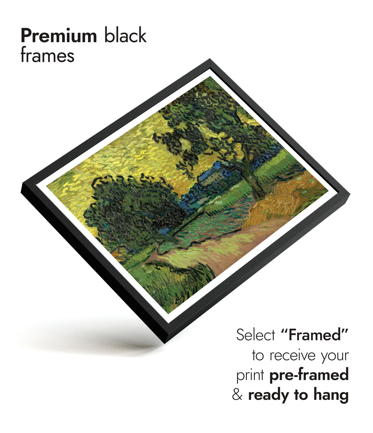 Landscape at Twilight