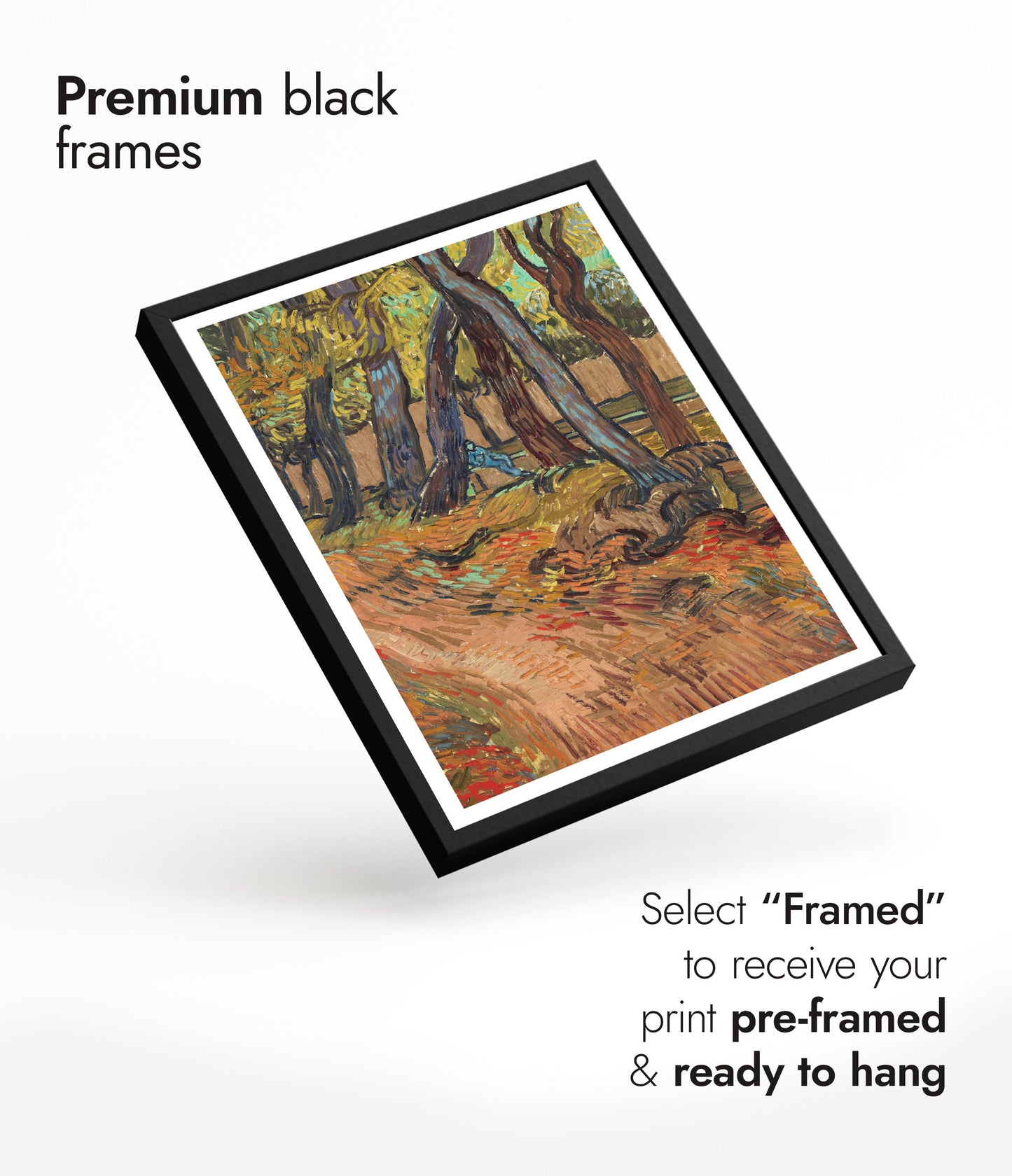 Path in the Garden of the Asylum