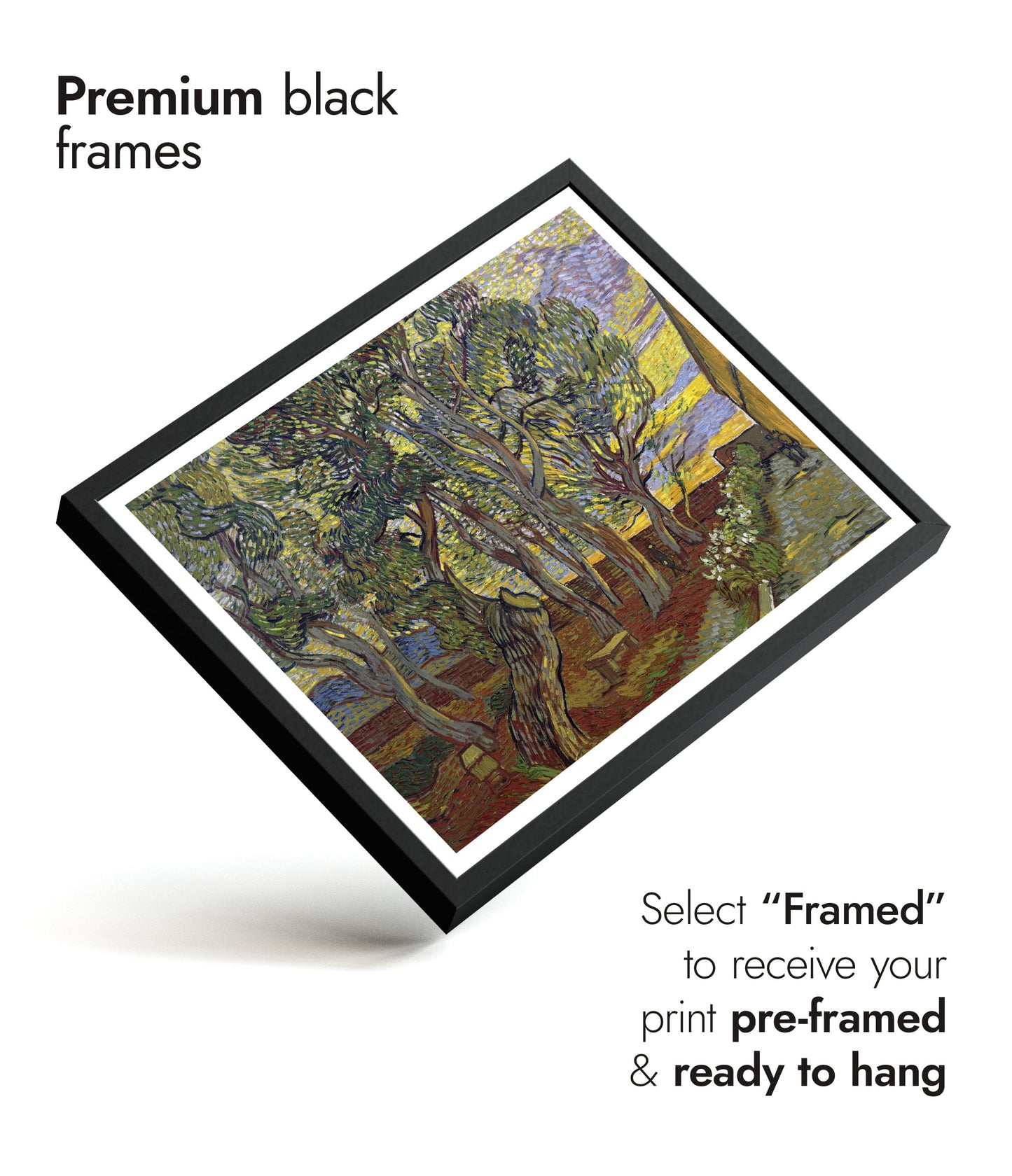 De Tuin van het Gesticht