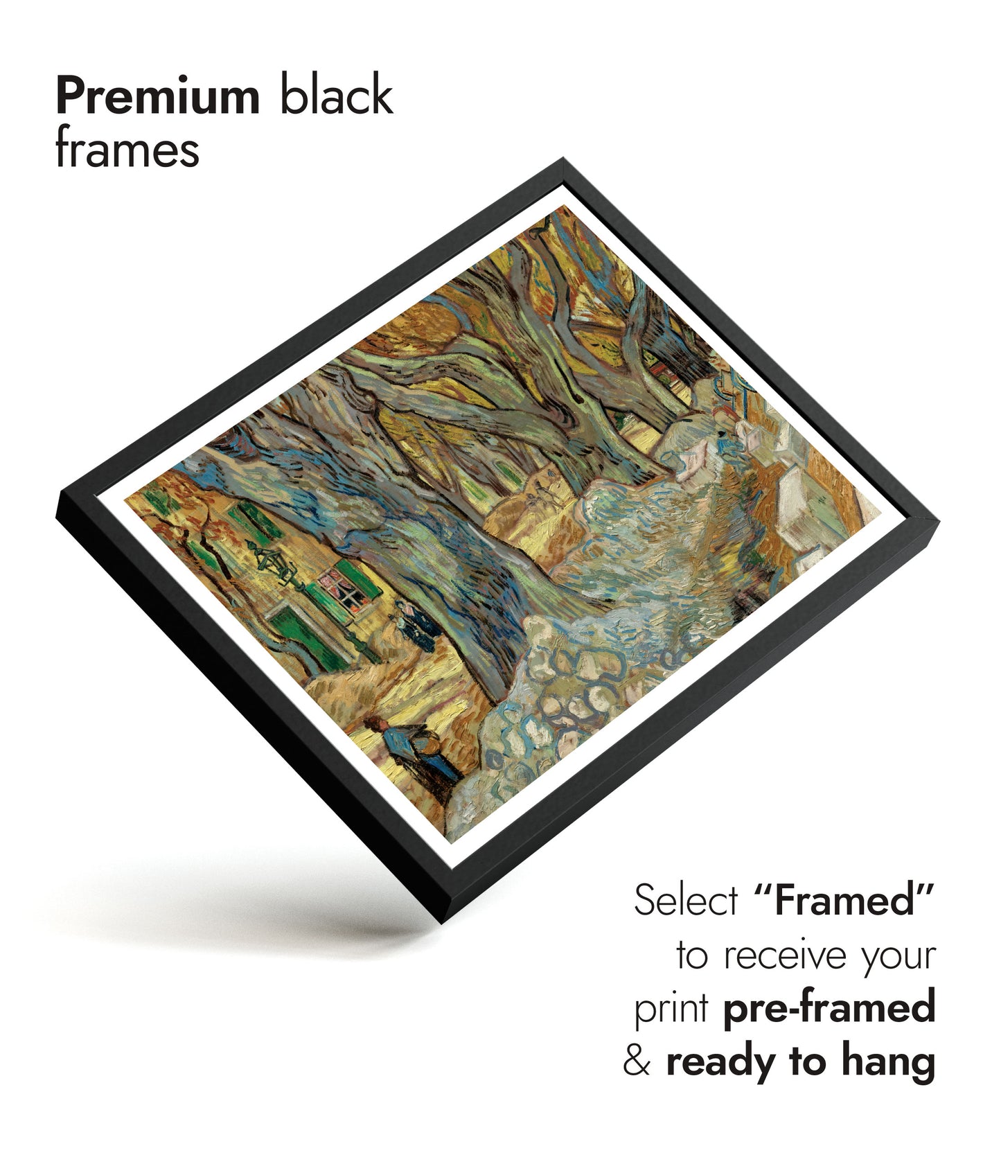 The Large Plane Trees