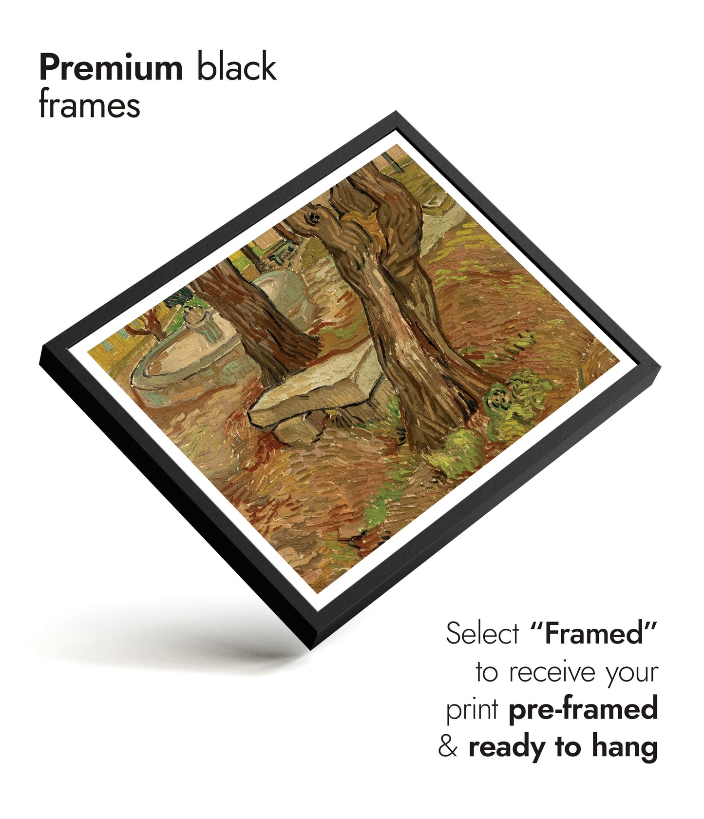 Le Banc de Pierre dans l'Asile