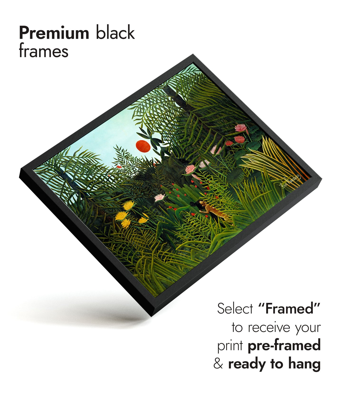 Jungfrulig skog med solnedgång