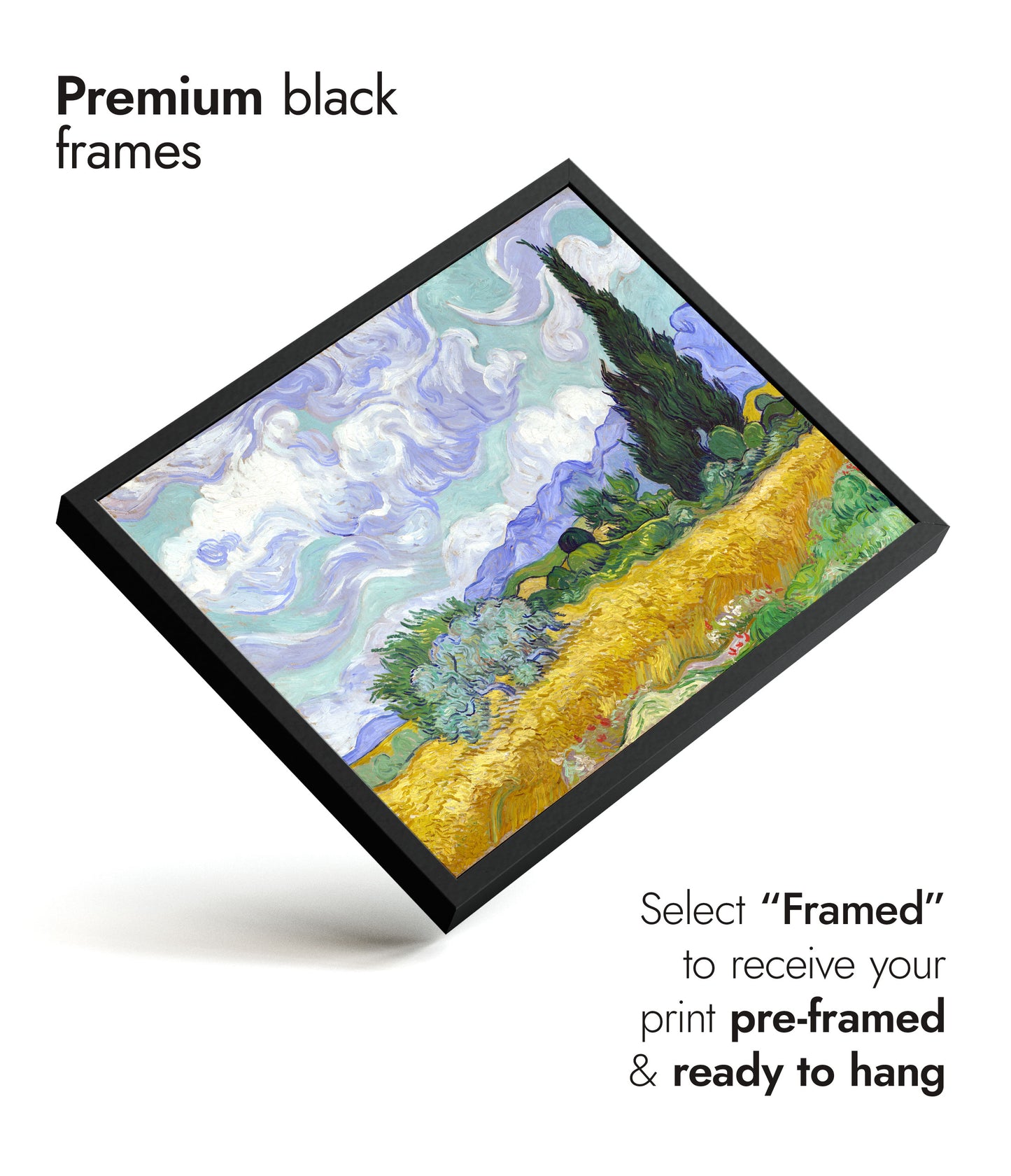 Wheatfield with Cypresses