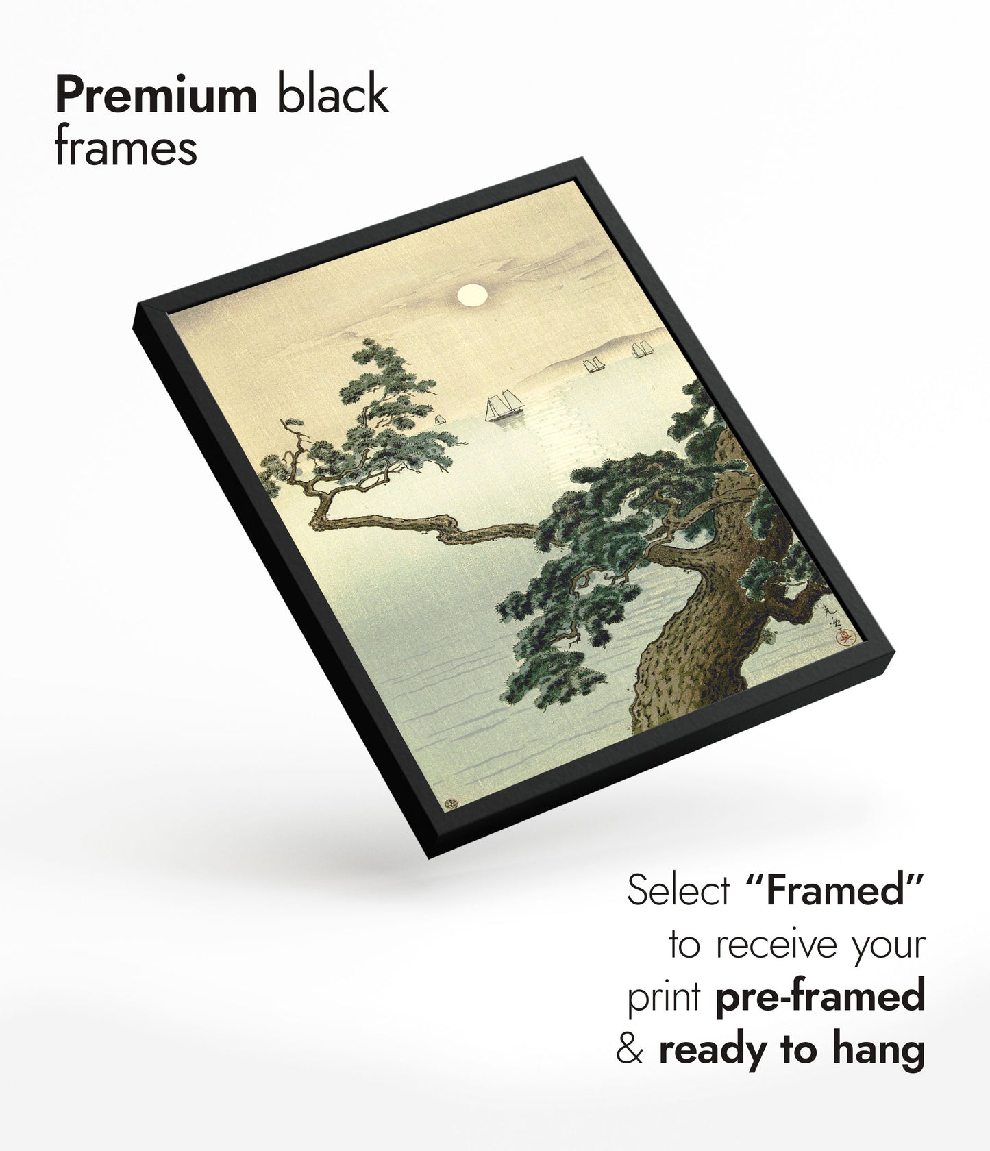 Volle Maan bij Akashi Strand