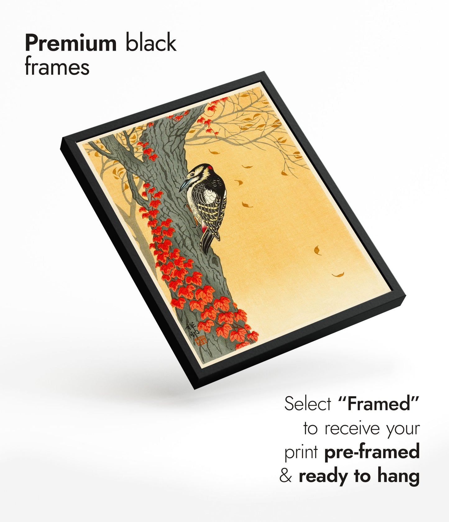 Great Spotted Woodpecker