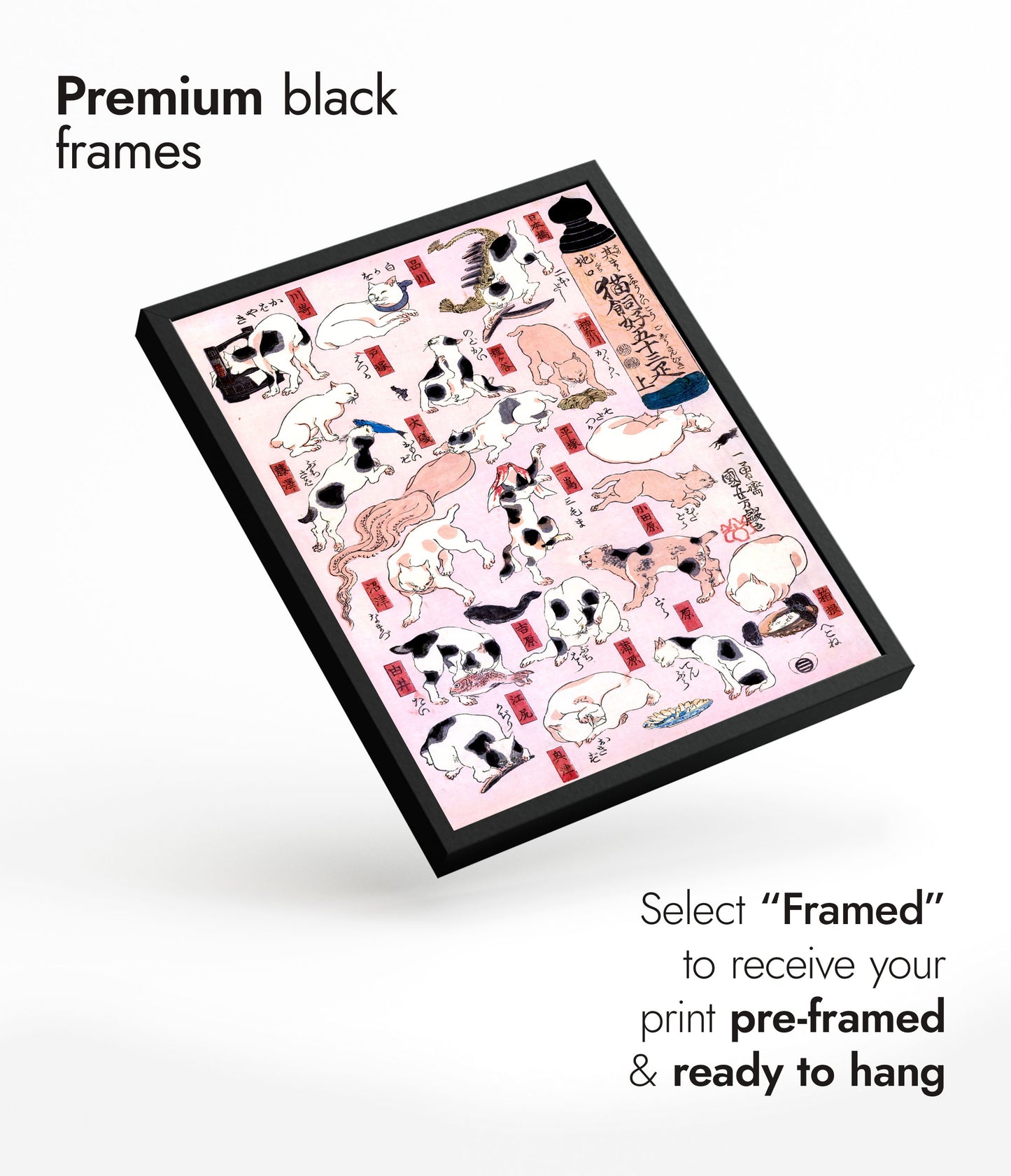 The Fifty Three Stations of the Tokaido