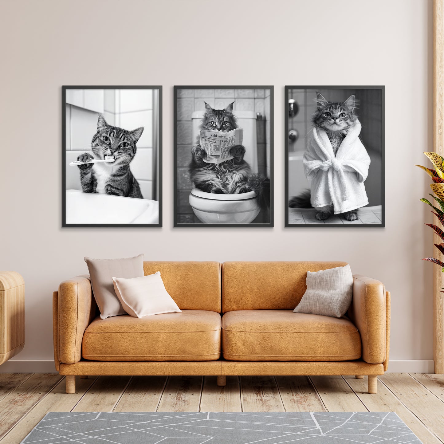 Badrum Katter Fotografi Trio