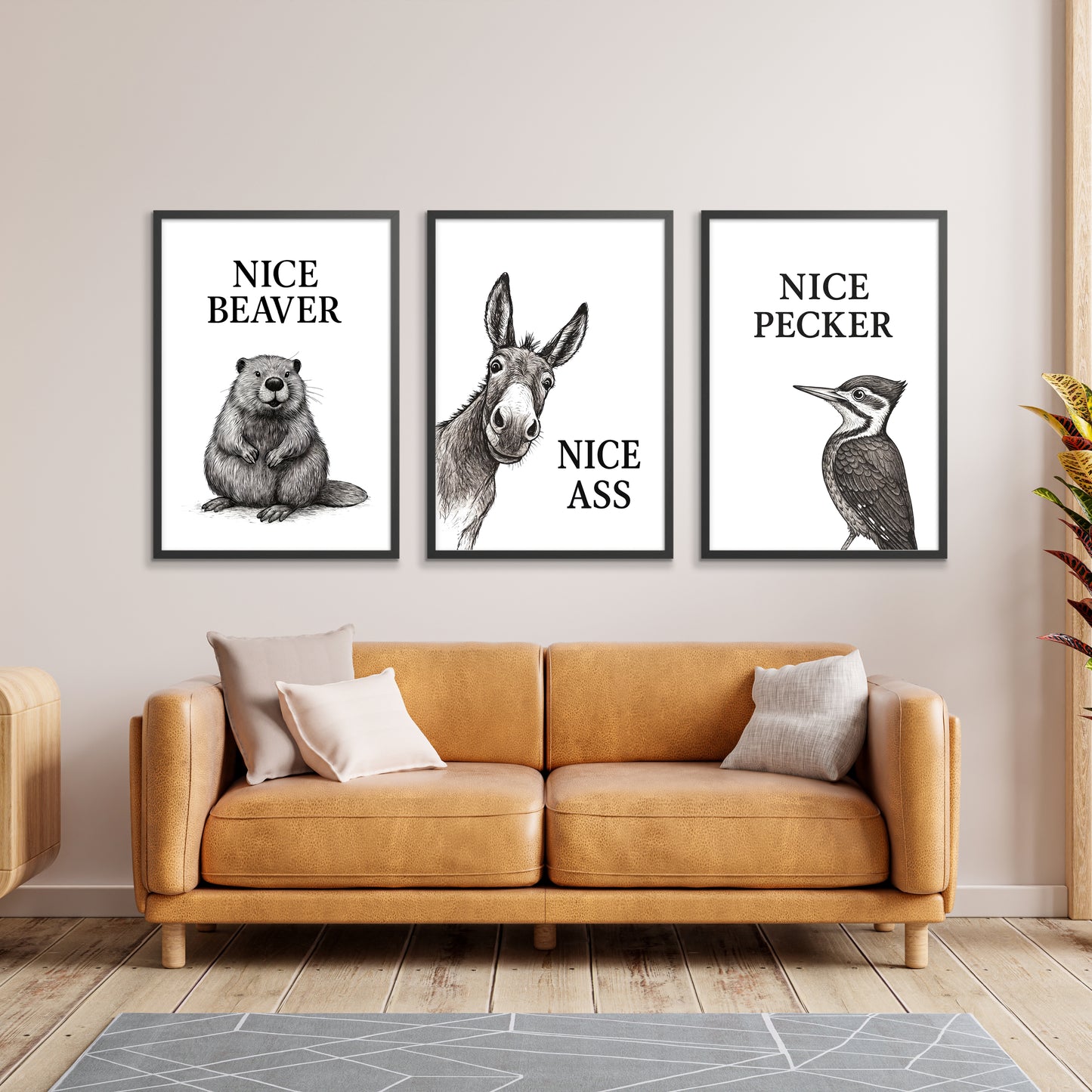 Collection d'animaux drôles