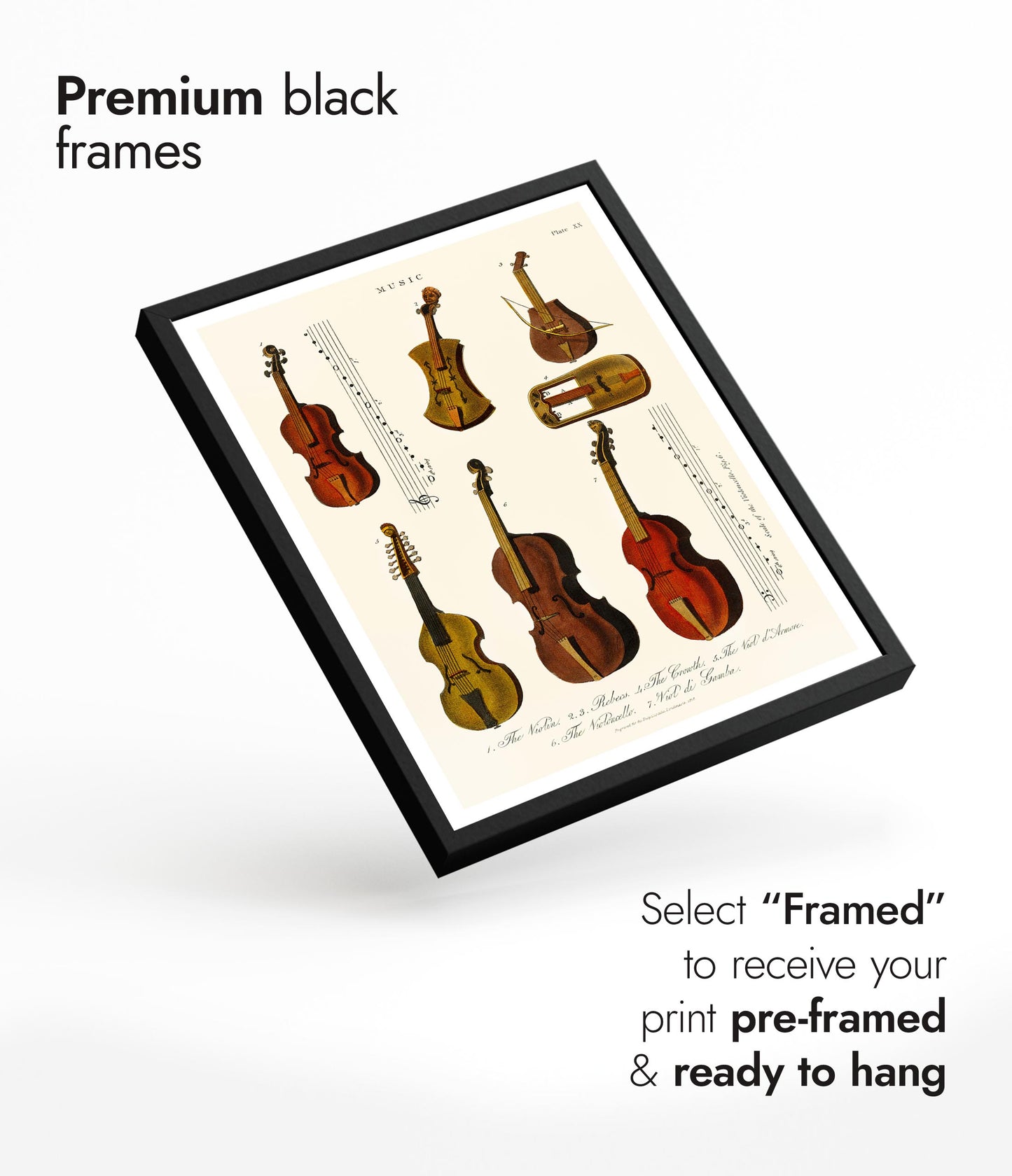 Vintage Violins, Violas and Cellos