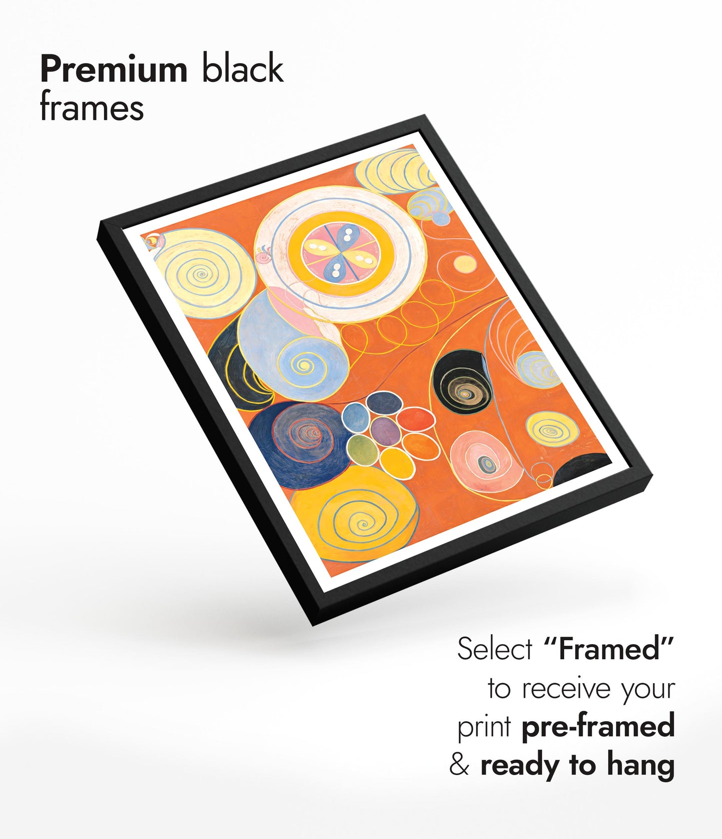 Group IV - The Ten Largest - Youth