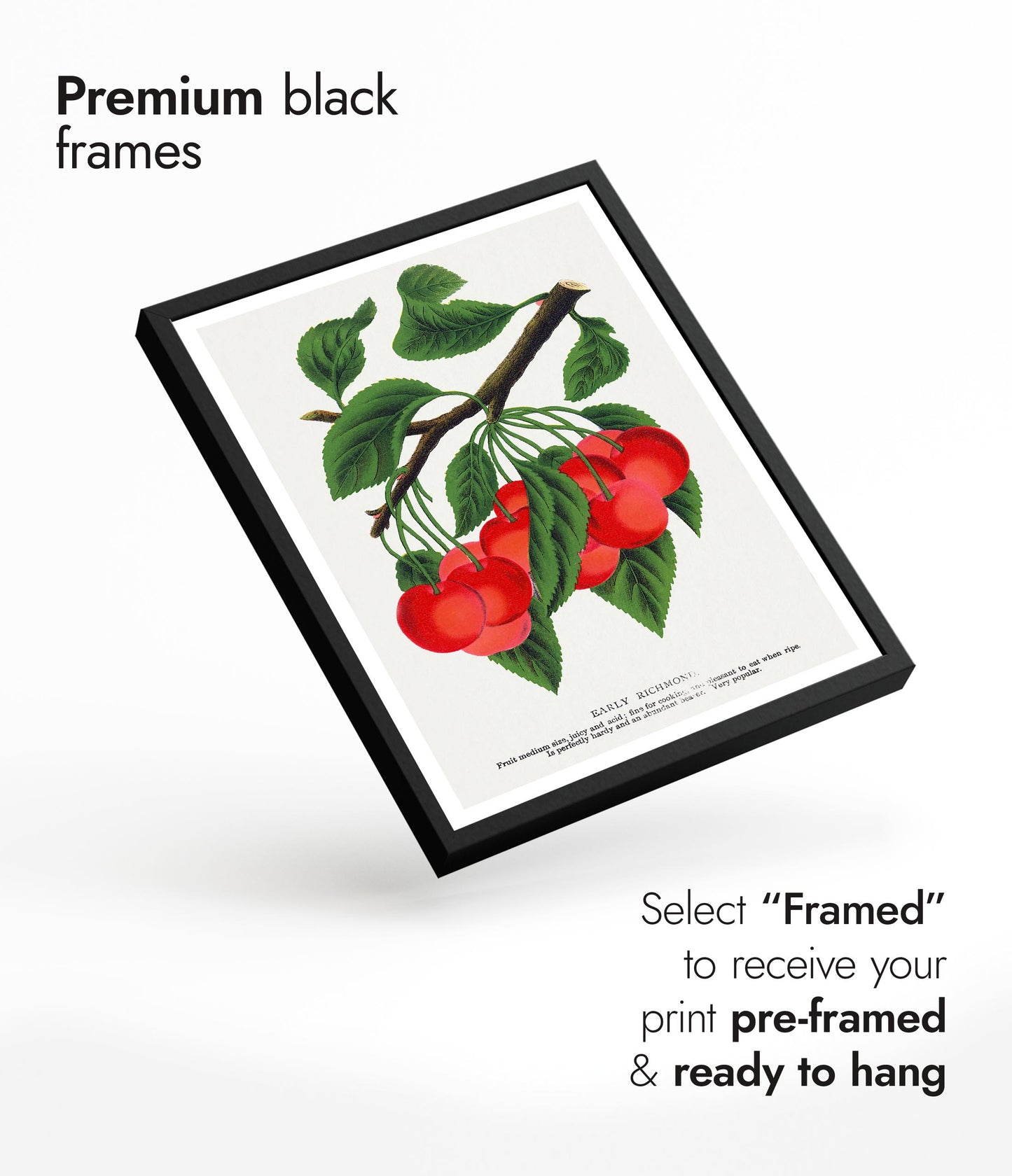 Vroege Richmond-kers