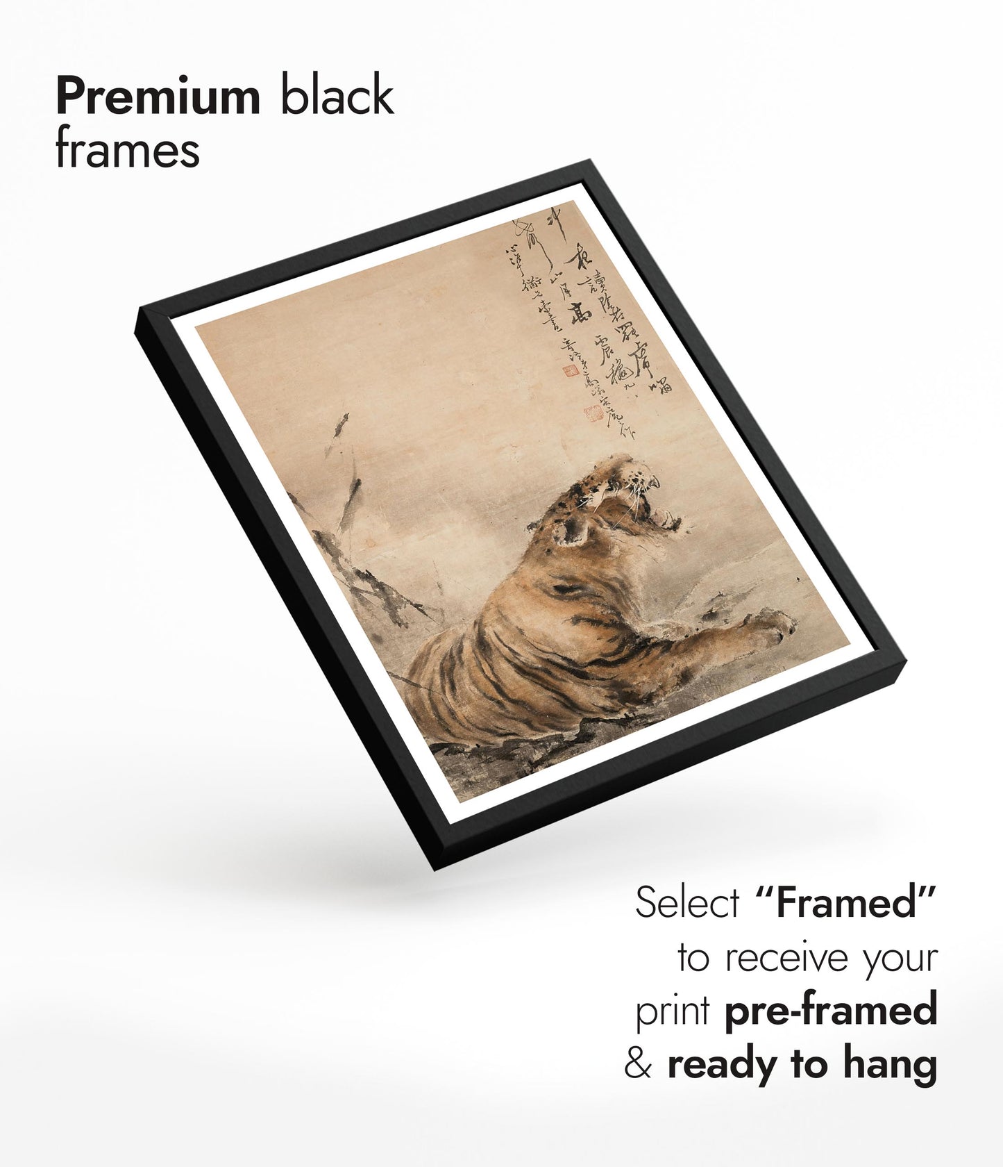 The Roar of the Night