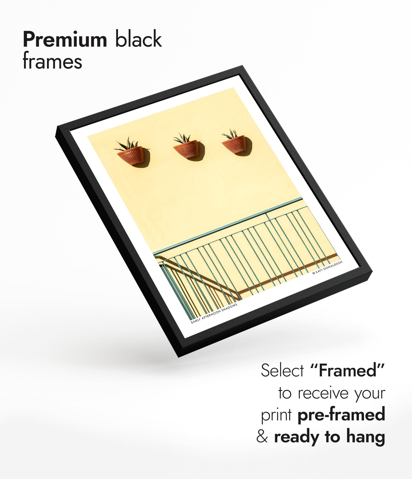 Early Afternoon Shadows