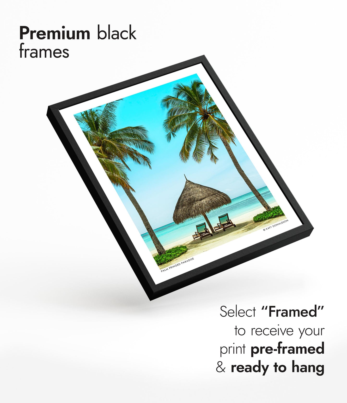 Palm Fringed Paradise