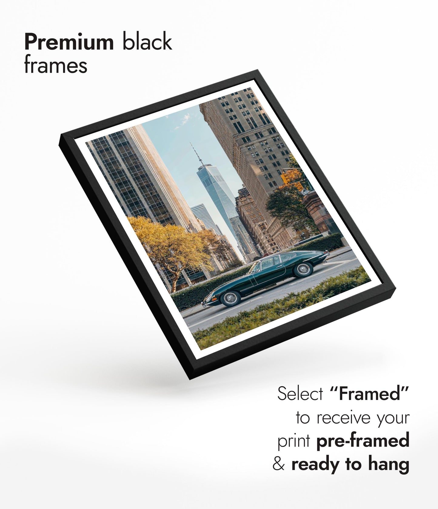 Jaguar i stora äpplet