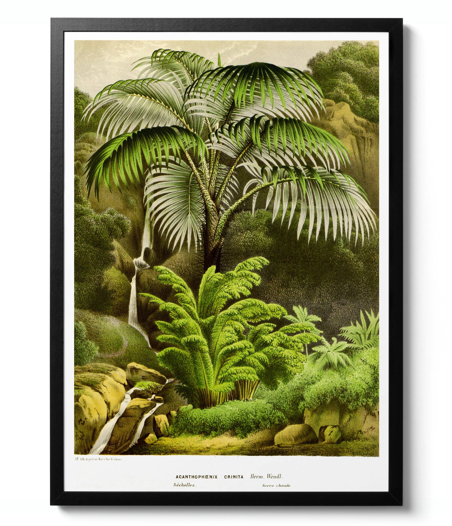 Botaniska träd - Set om 3