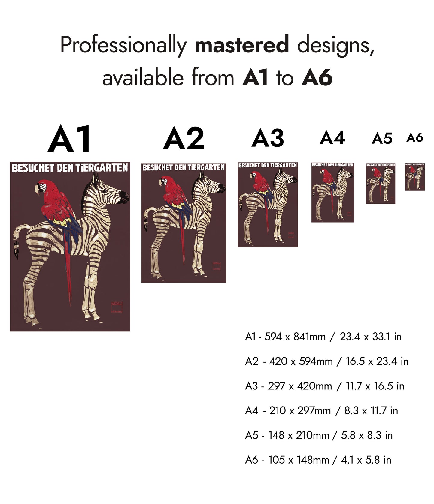 1912 Parrot & Zebra, Munich
