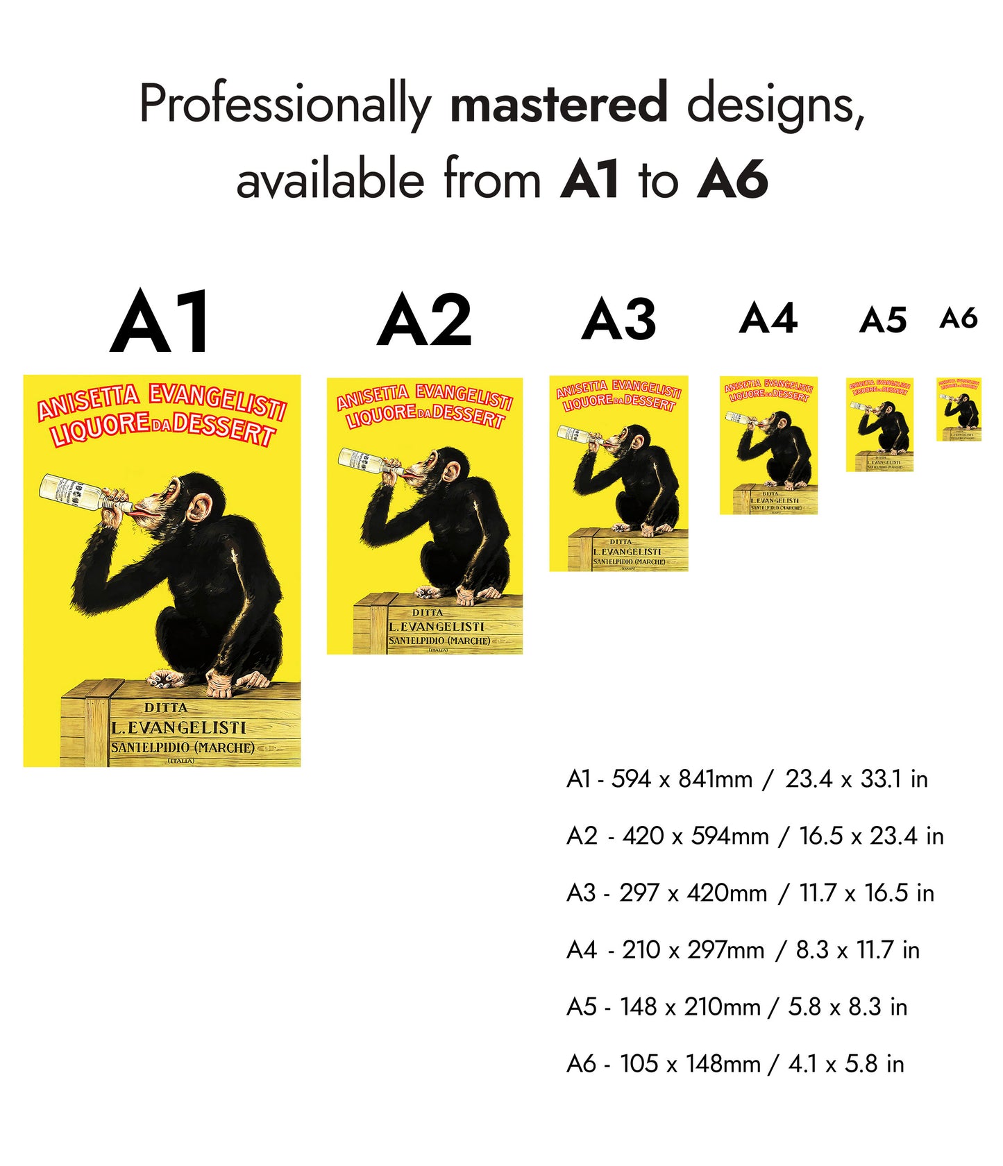 Anisetta Evangelisti Liquour