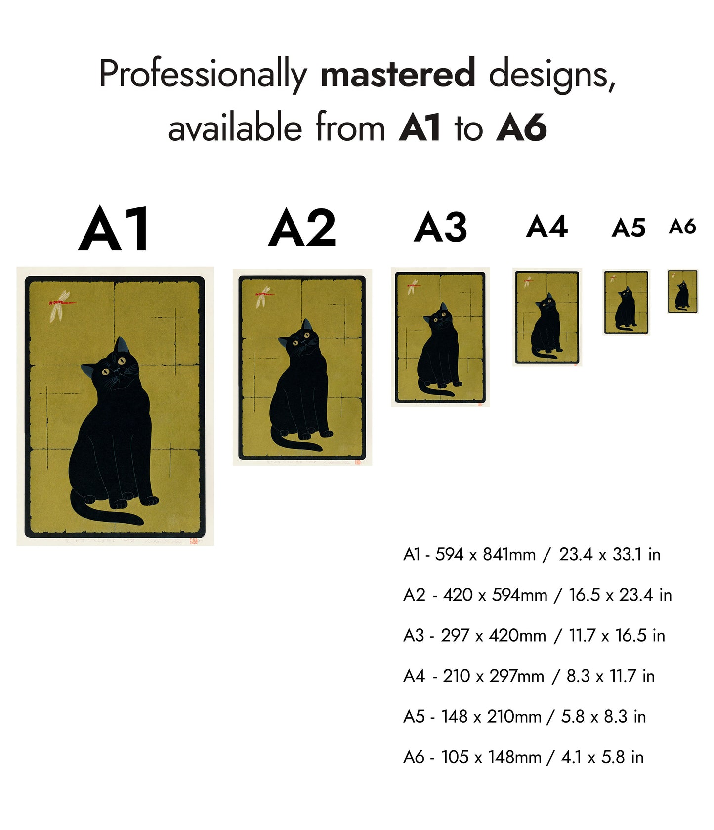 Svart katt med trollslända