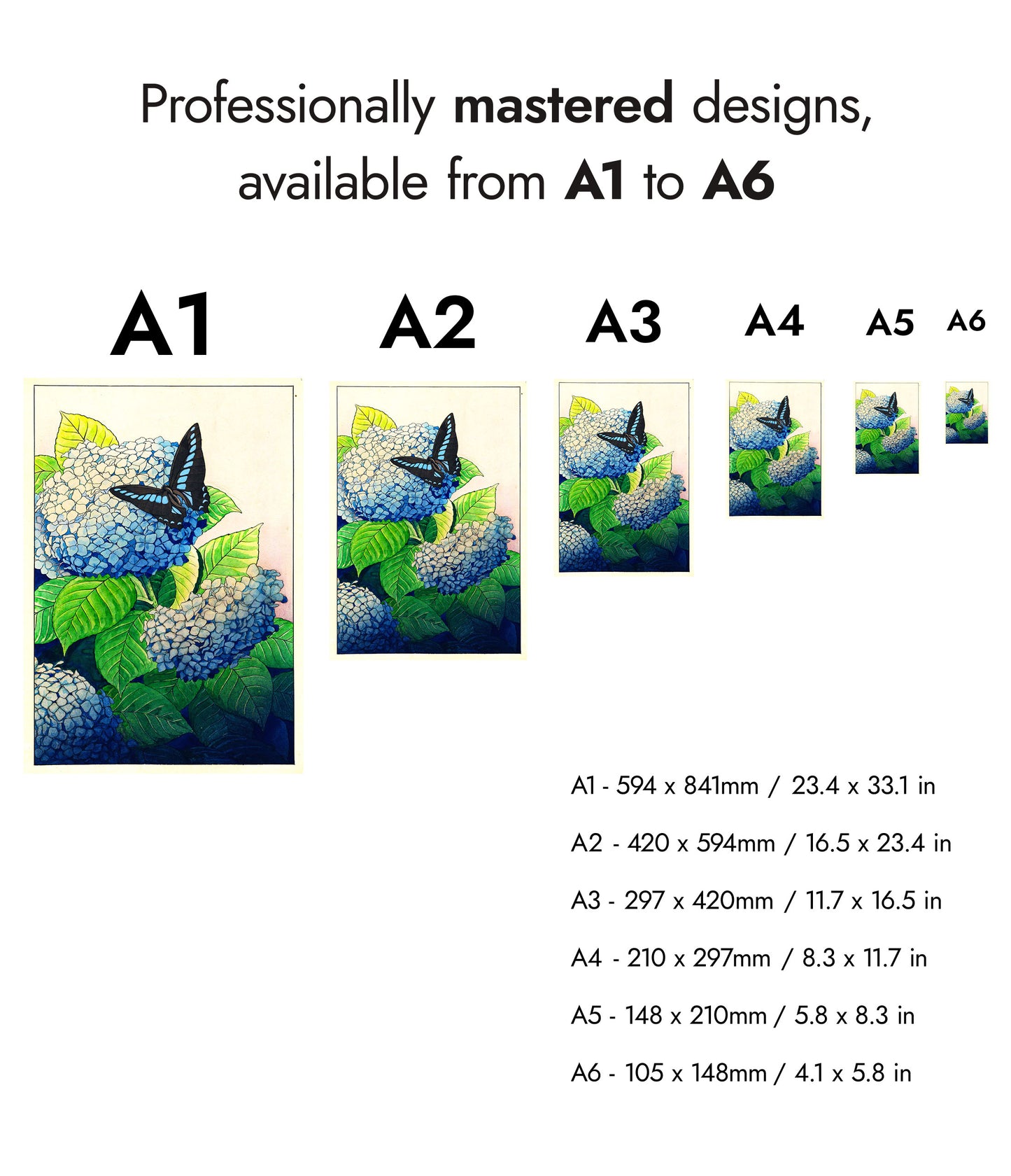 Hortensia's en Vlinder