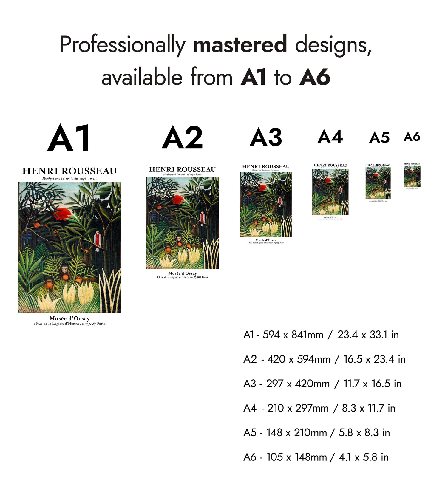 Apdjur och papegoja i den orörda skogen