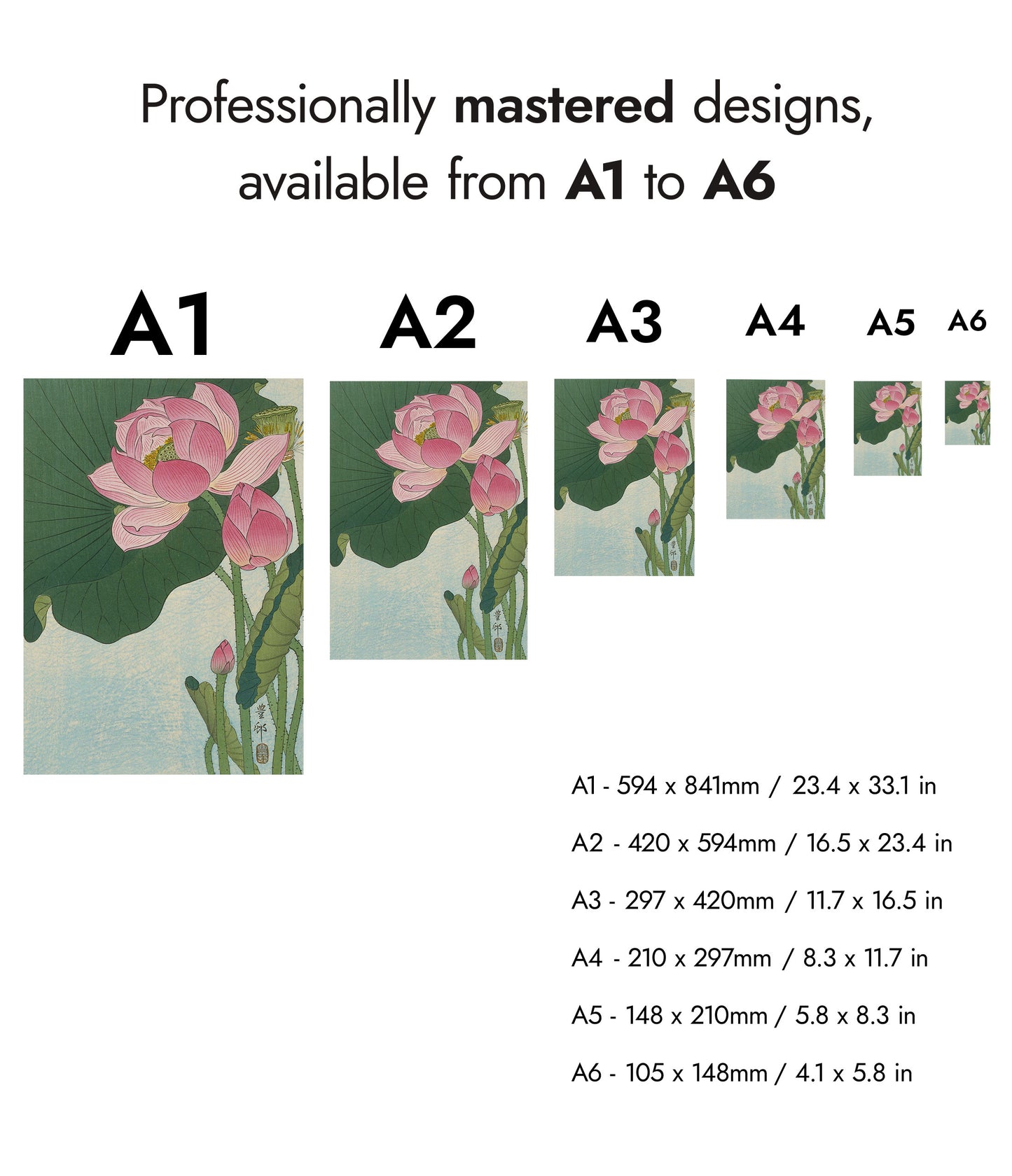 Blooming Lotus Flowers