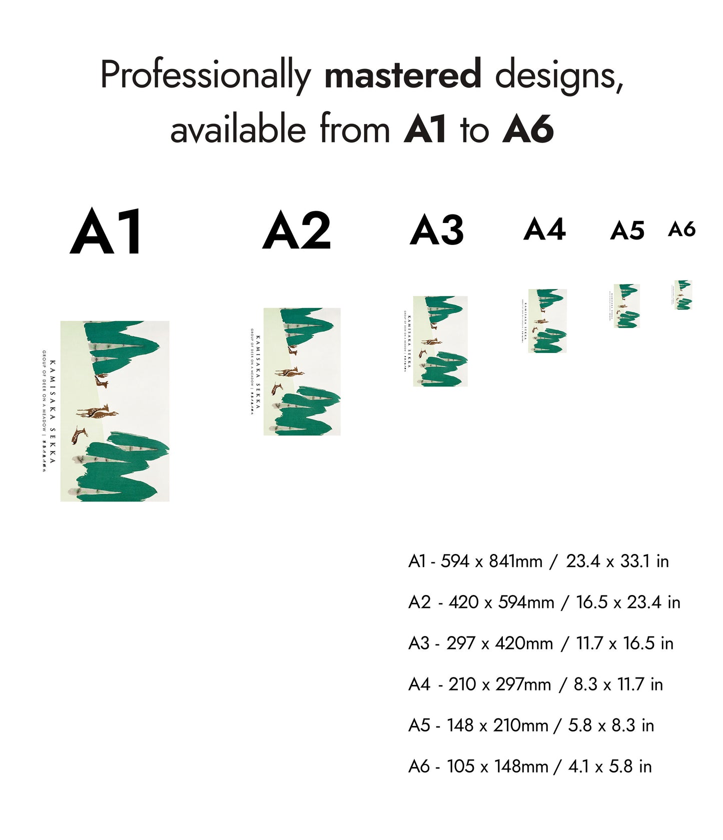 Group of Deer on a Meadow