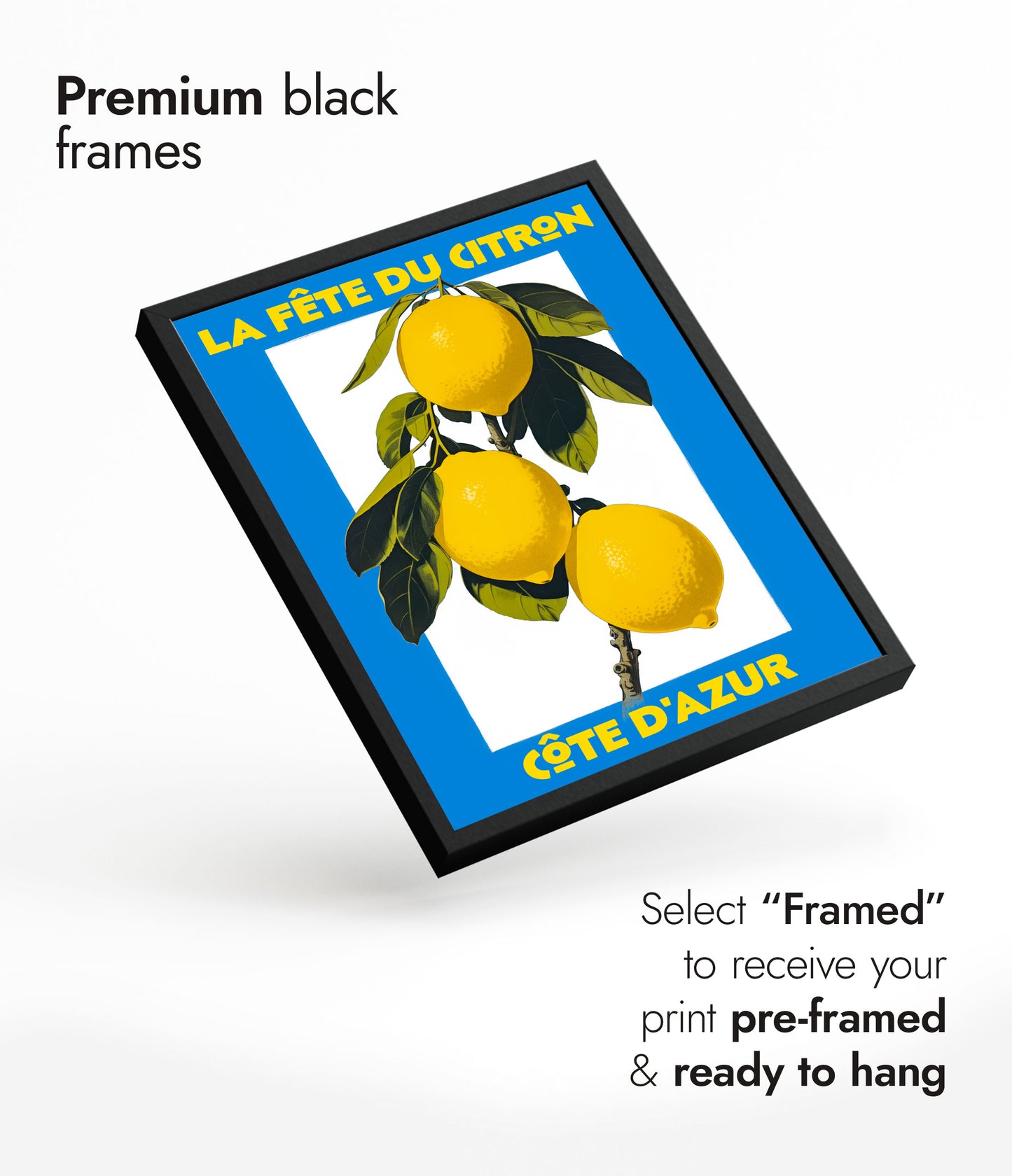 Fruitmarkt Tentoonstelling - Set van 3