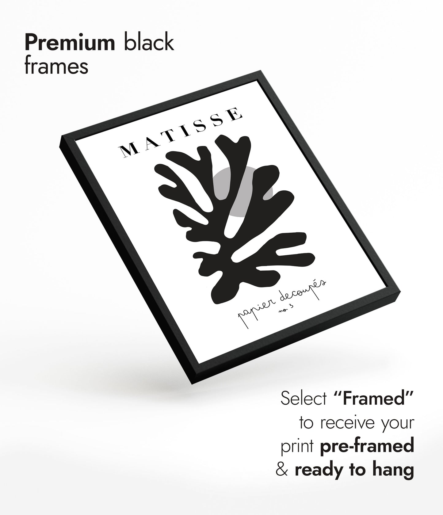 Henri Matisse Black & White - Set of 3