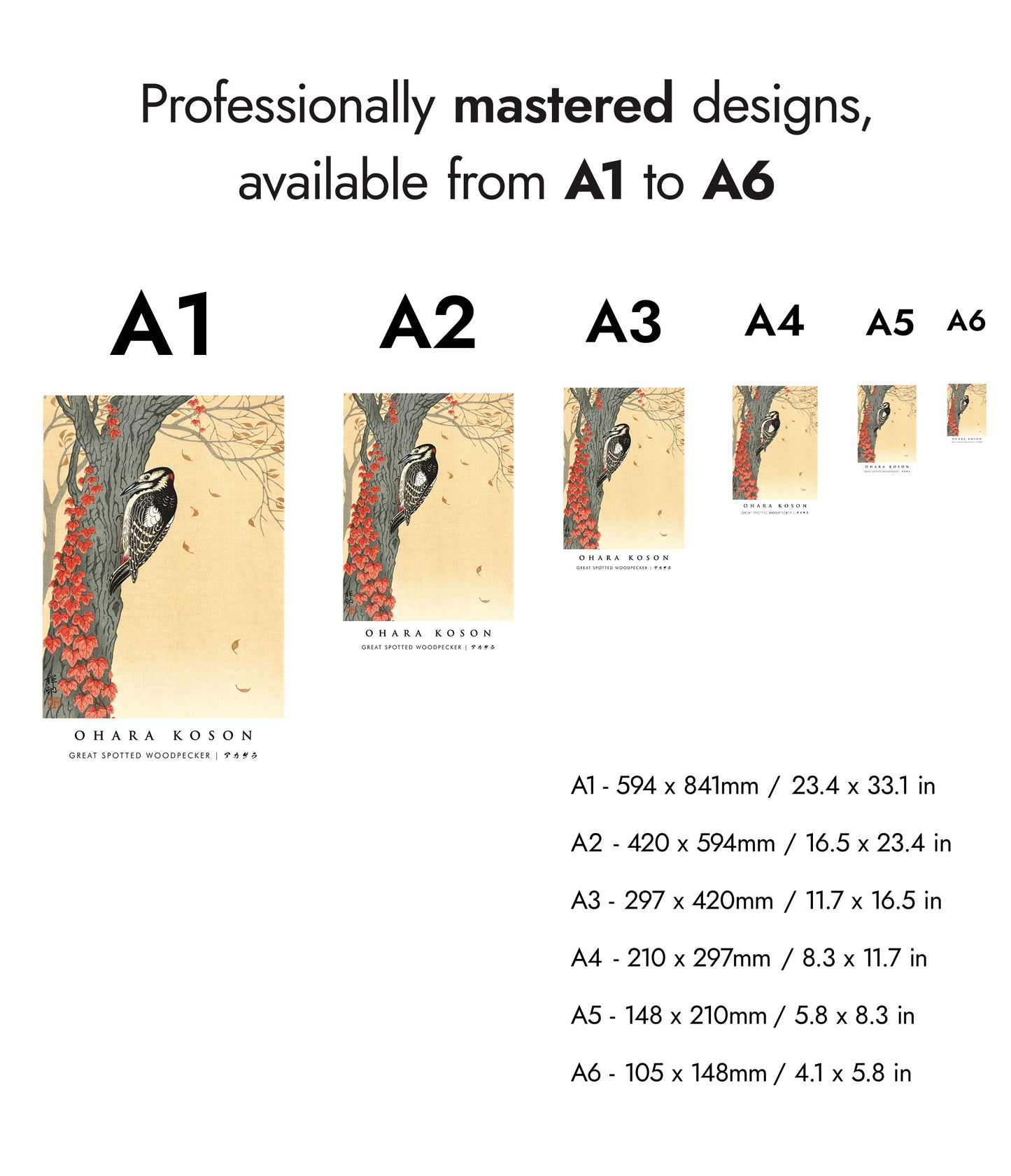 Great Spotted Woodpecker