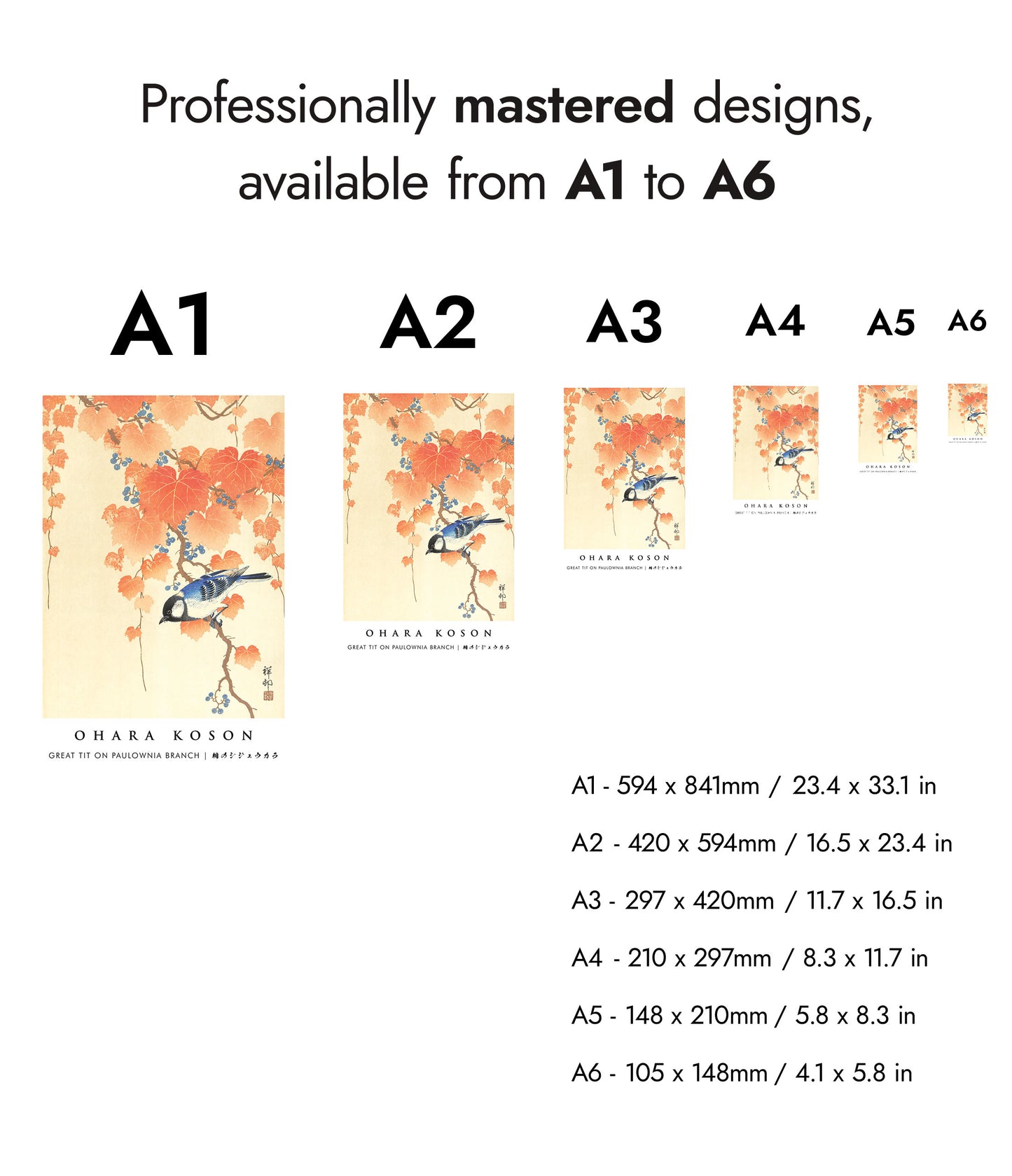 Great Tit on Paulownia Branch