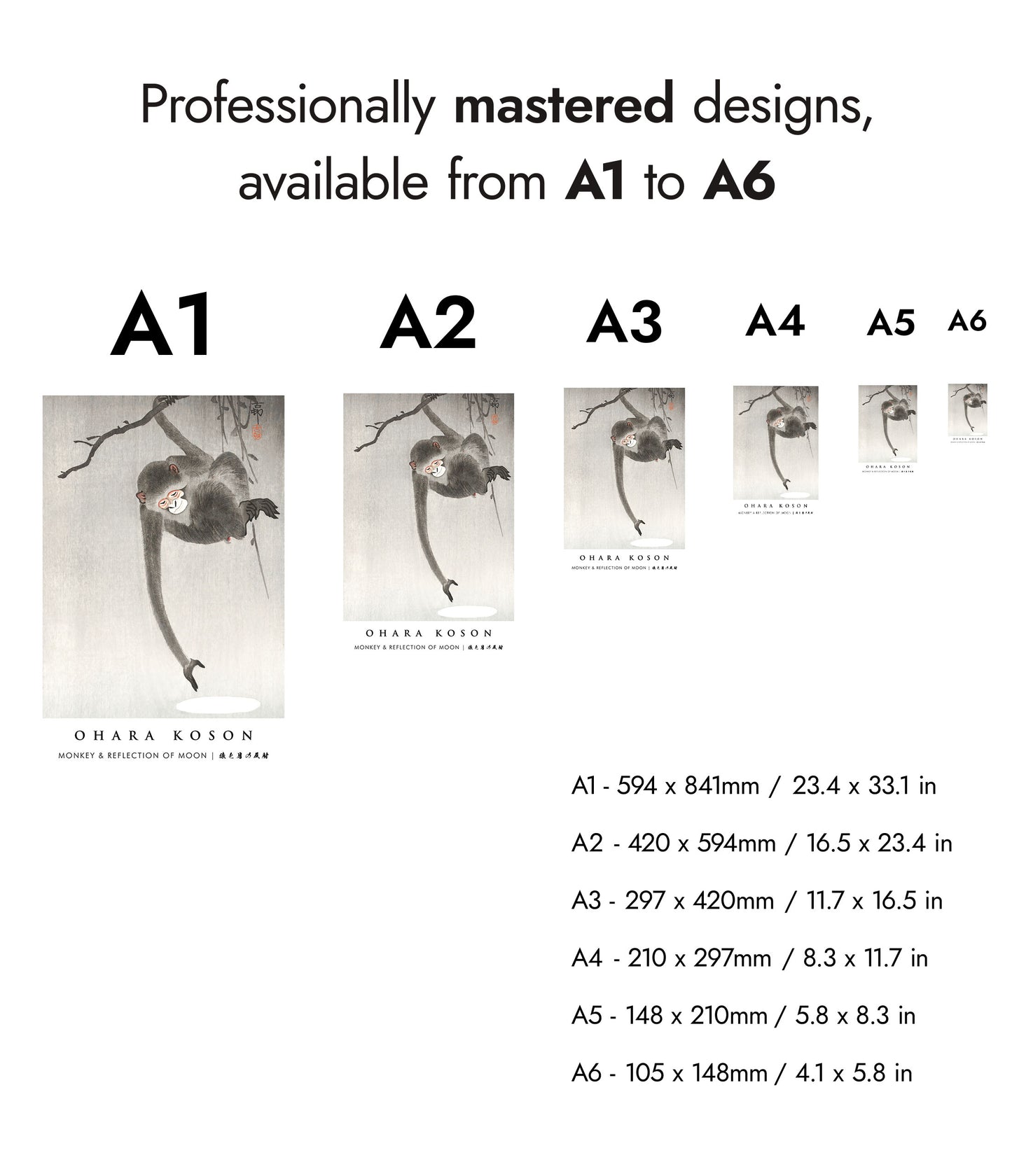 Singe et reflet de la lune