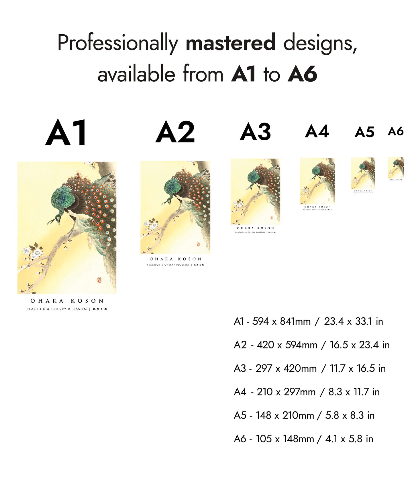 Peacock & Cherry Blossom