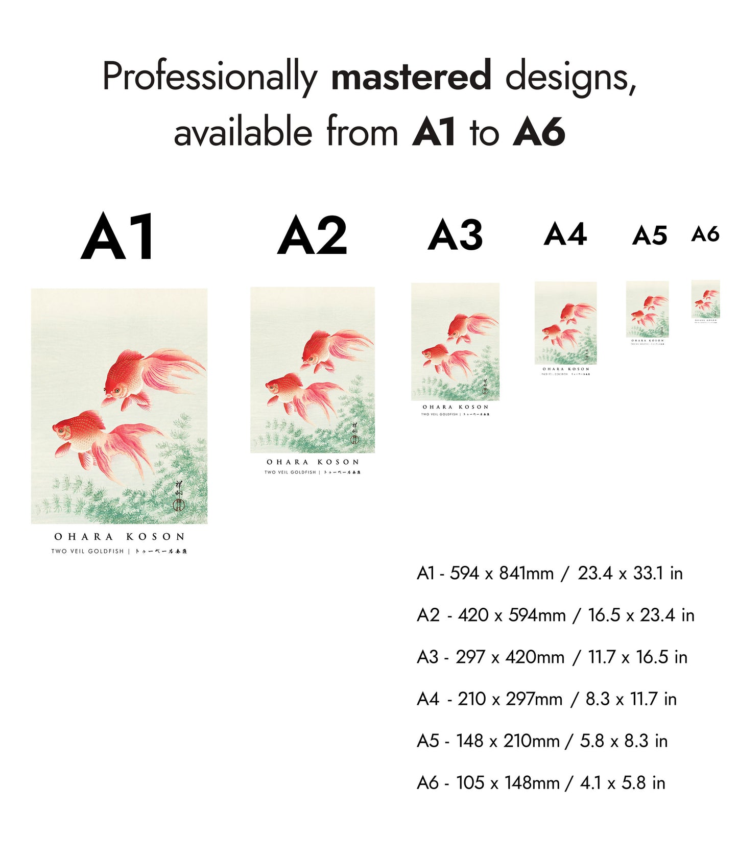 Deux poissons rouges voilés