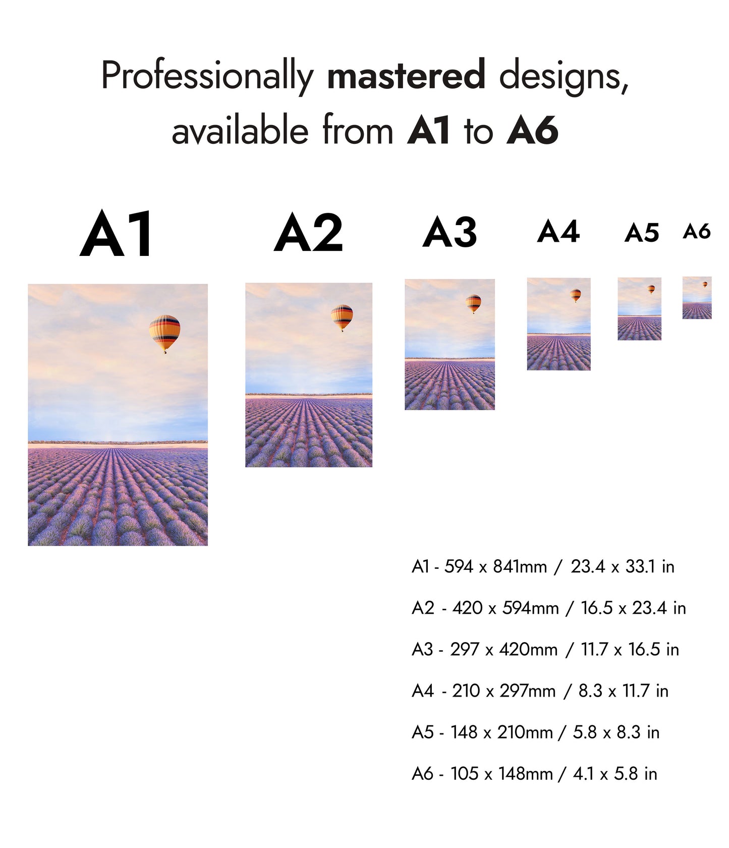 Lavendelfelder in der Provence, Frankreich