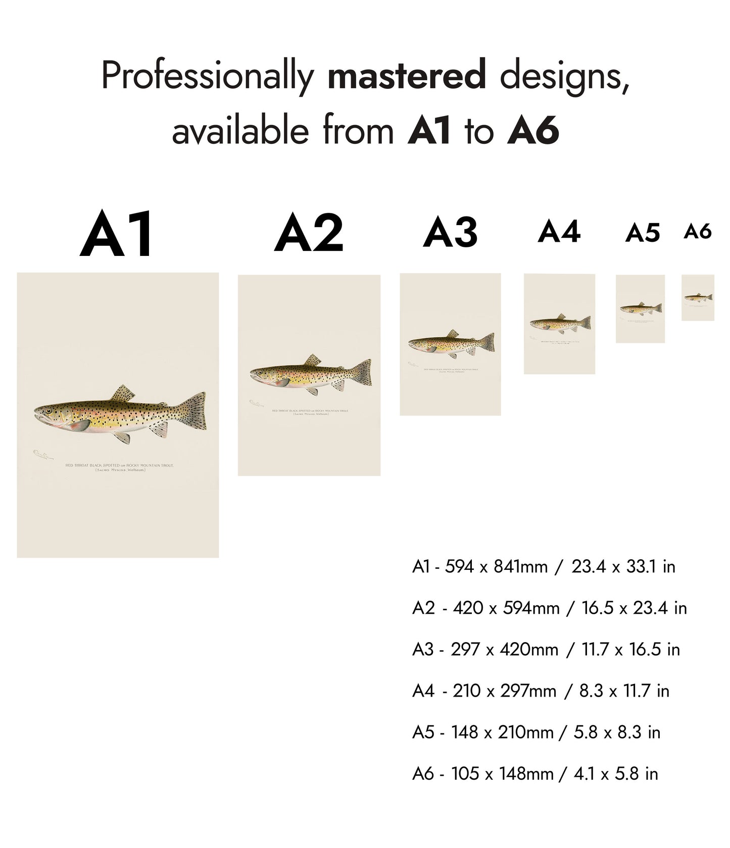 Rocky Mountain-öring