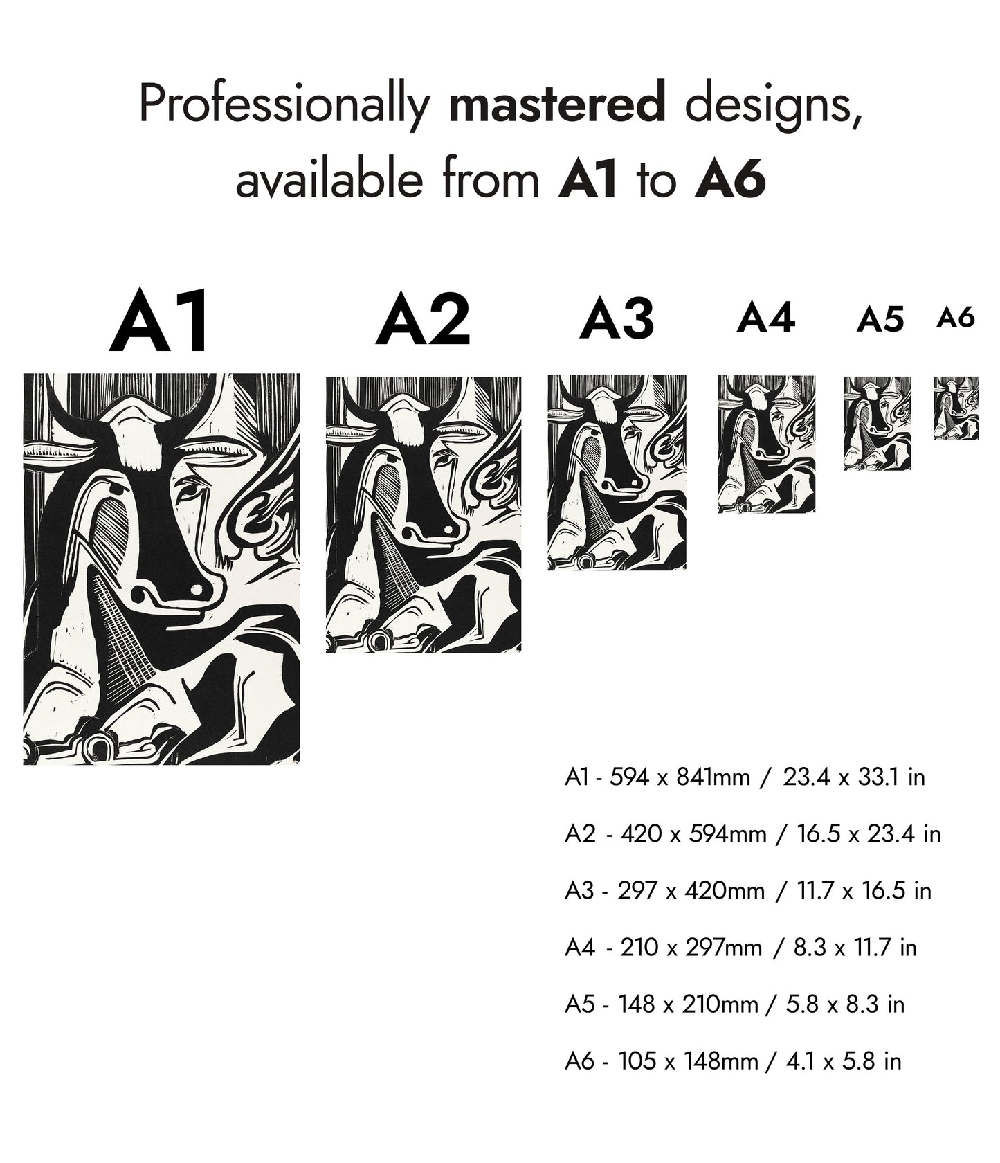 Large Cow Lying Down