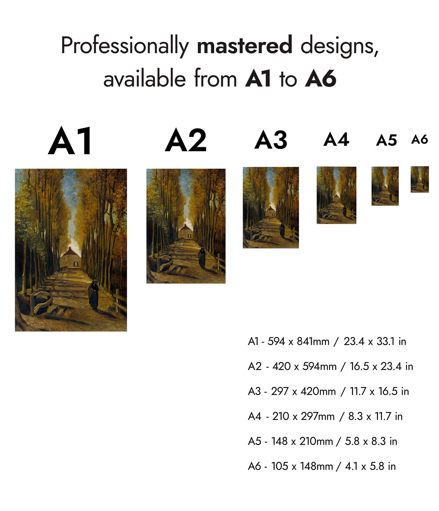 Avenue of Poplars in Autumn