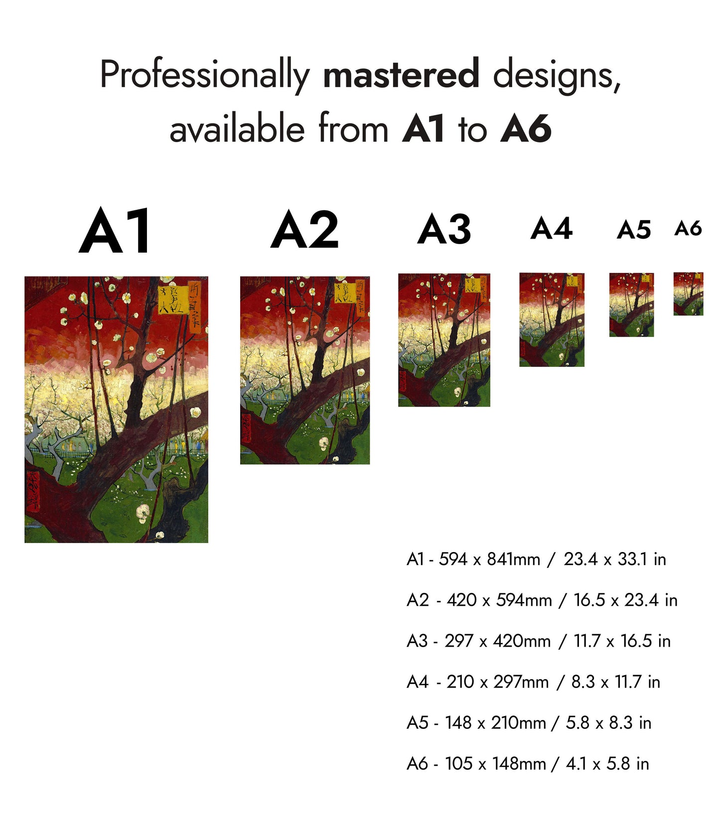 Flowering Plum Orchard