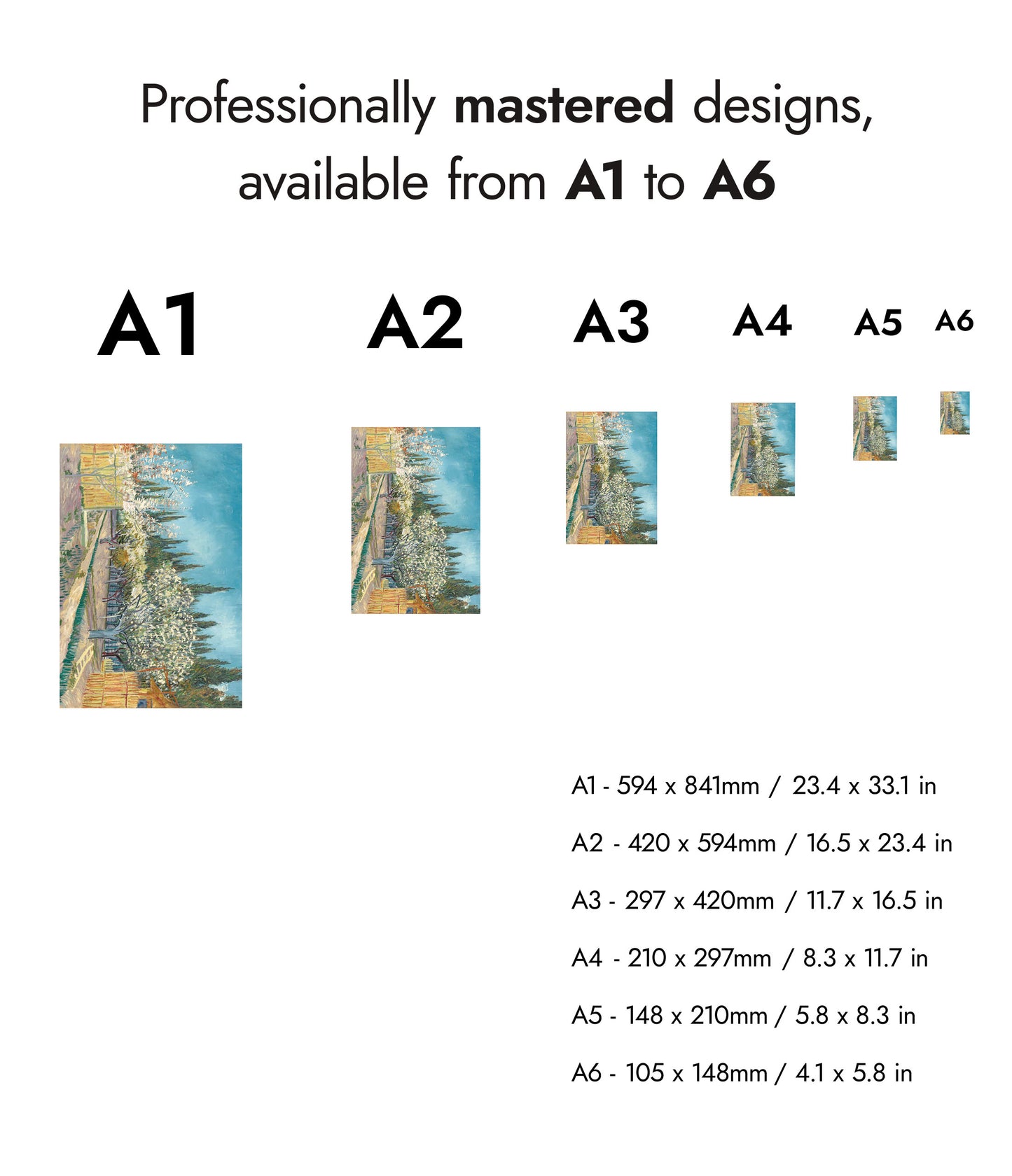 Orchard Bordered by Cypresses
