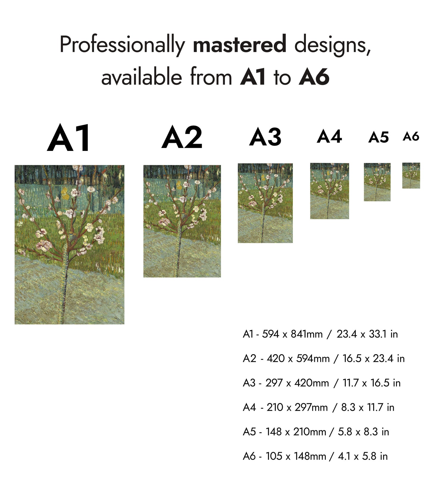 Peach Tree in Blossom