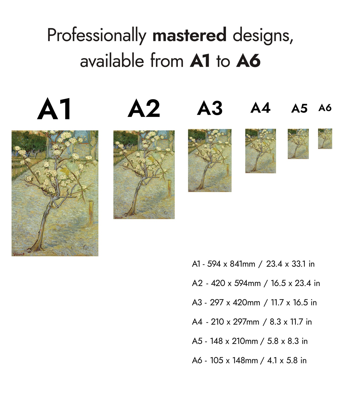 Small Pear Tree in Blossom