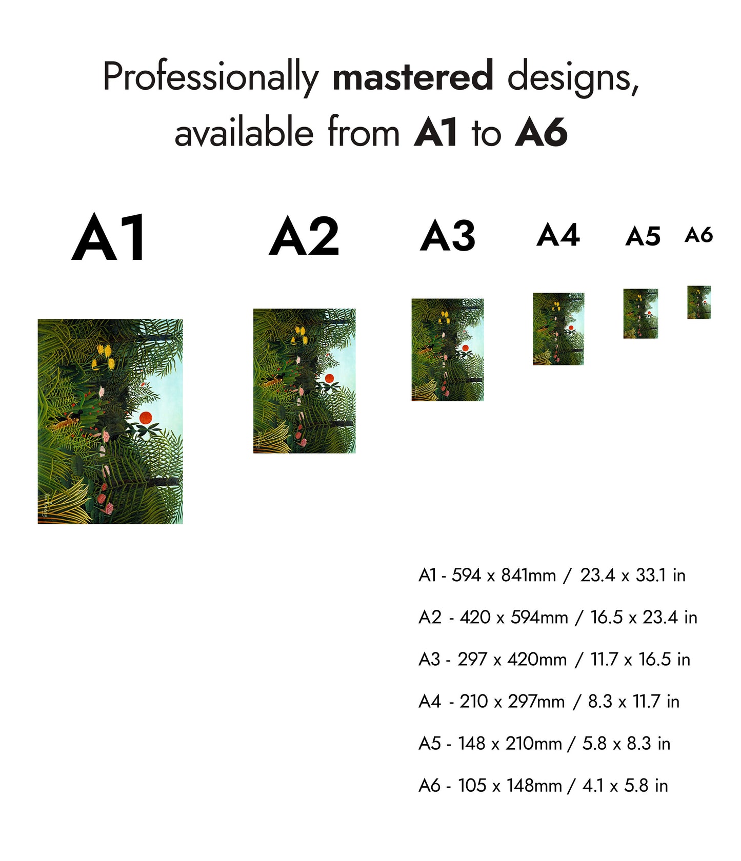 Jungfrulig skog med solnedgång