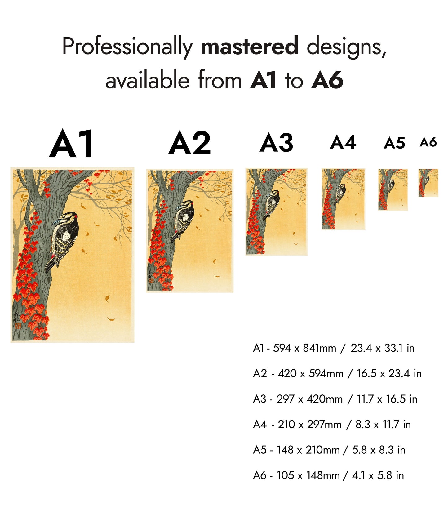 Great Spotted Woodpecker
