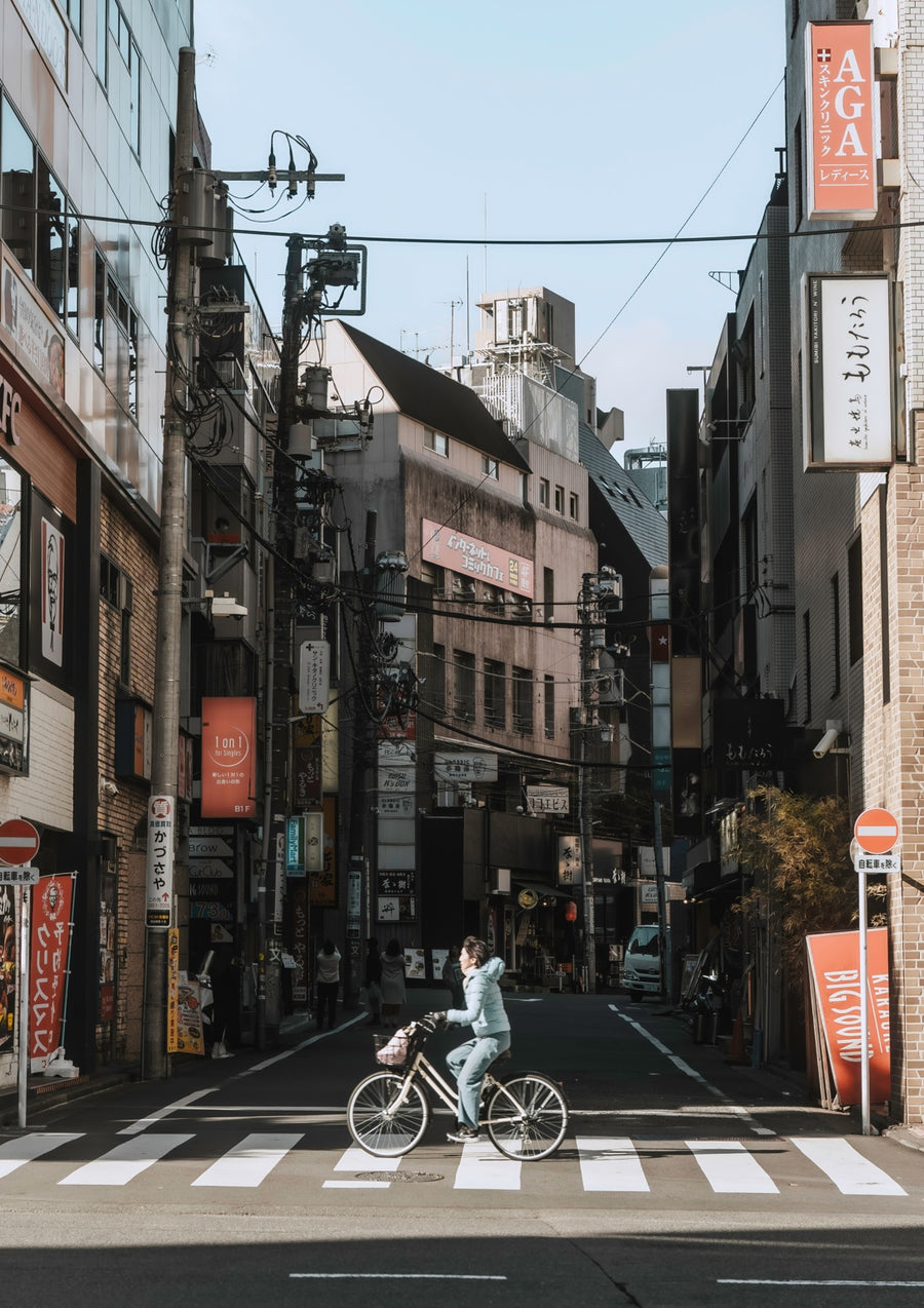 Fuji - Print Only frame