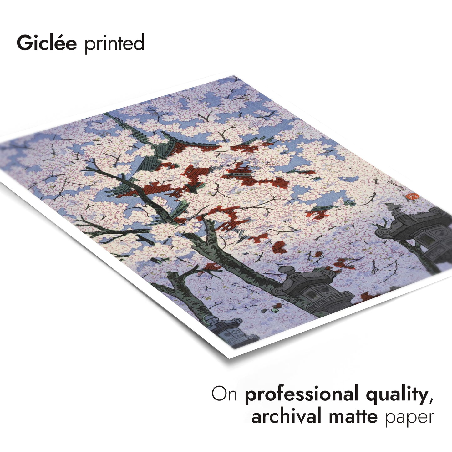 Körsbärsblommor i Ueno Toshogo